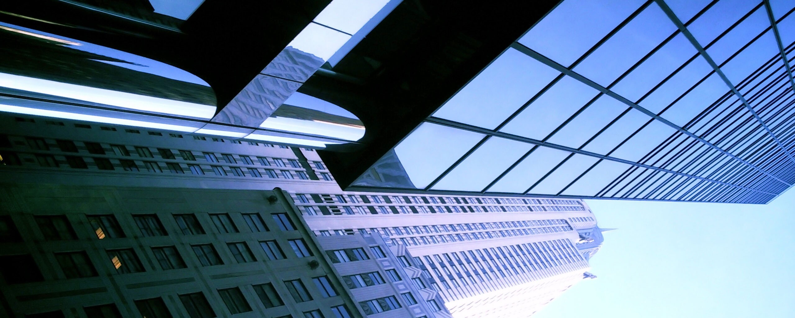 Взгляд вверх обои