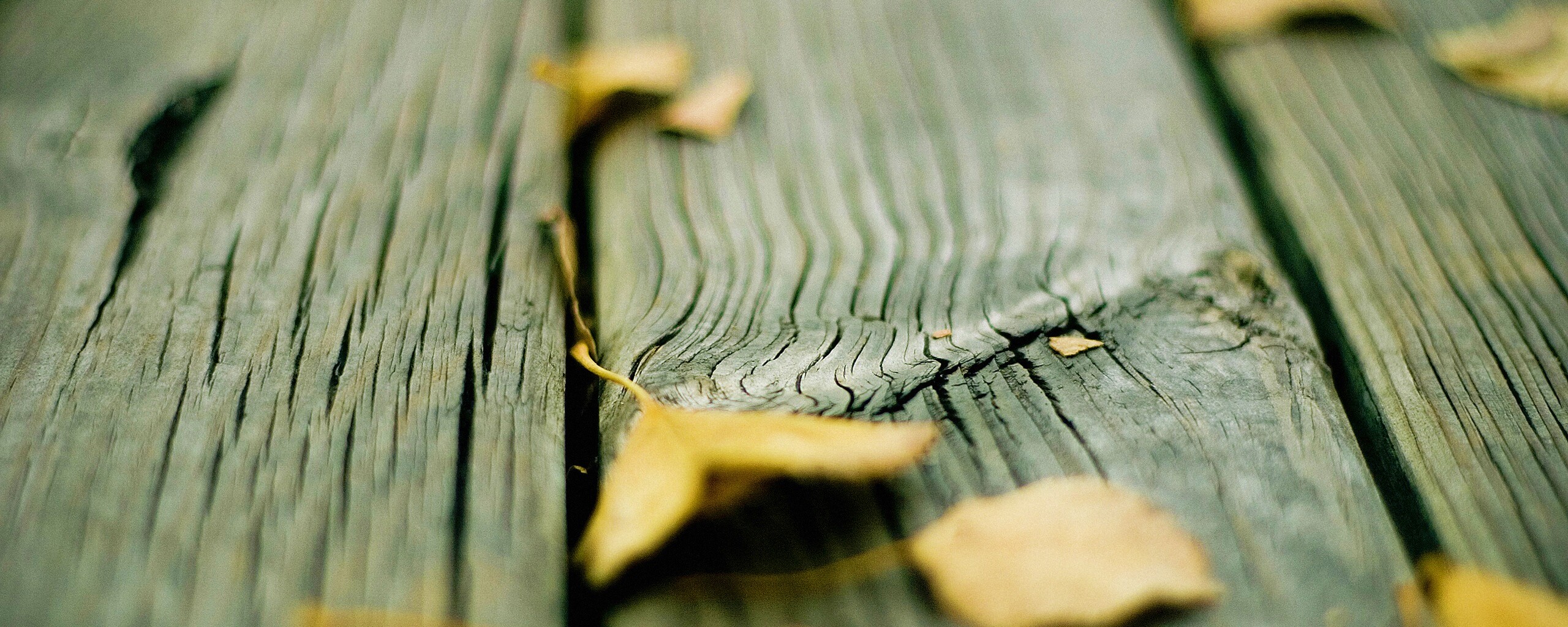 Листья на дощатом полу обои