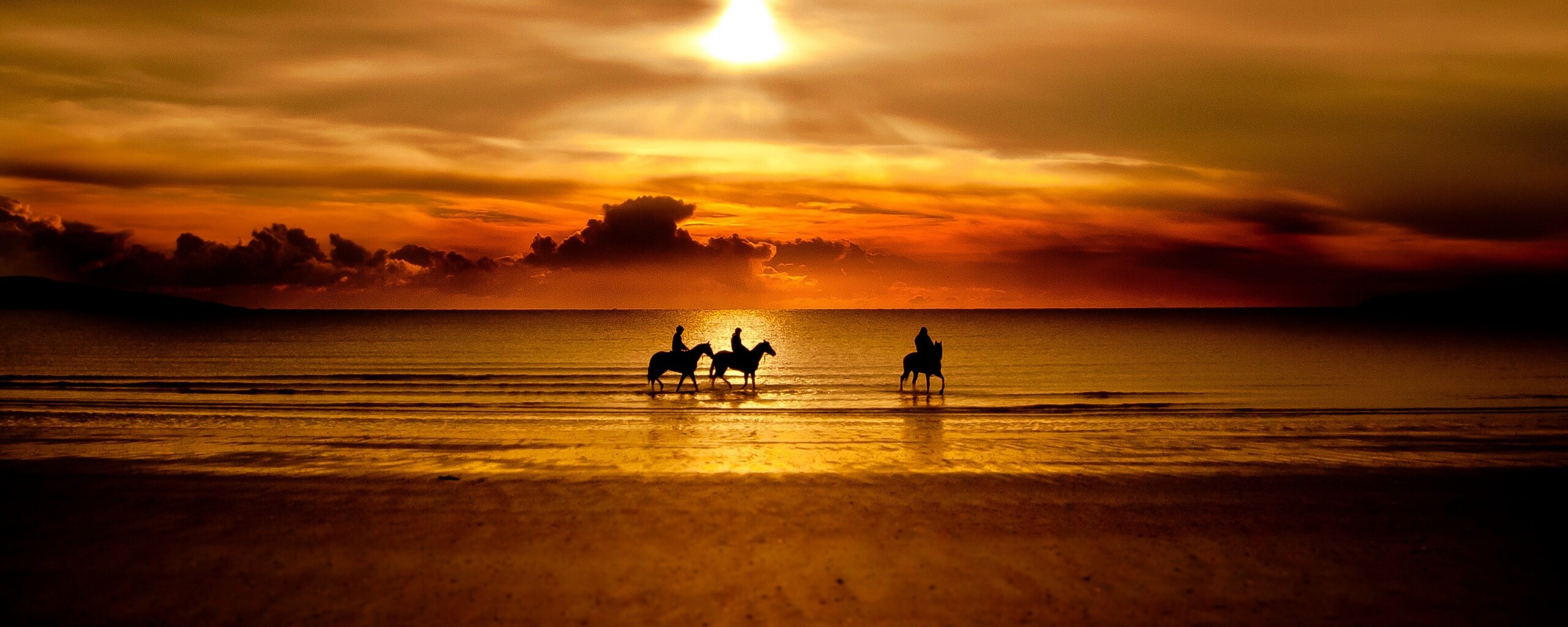 Наездники на закате обои