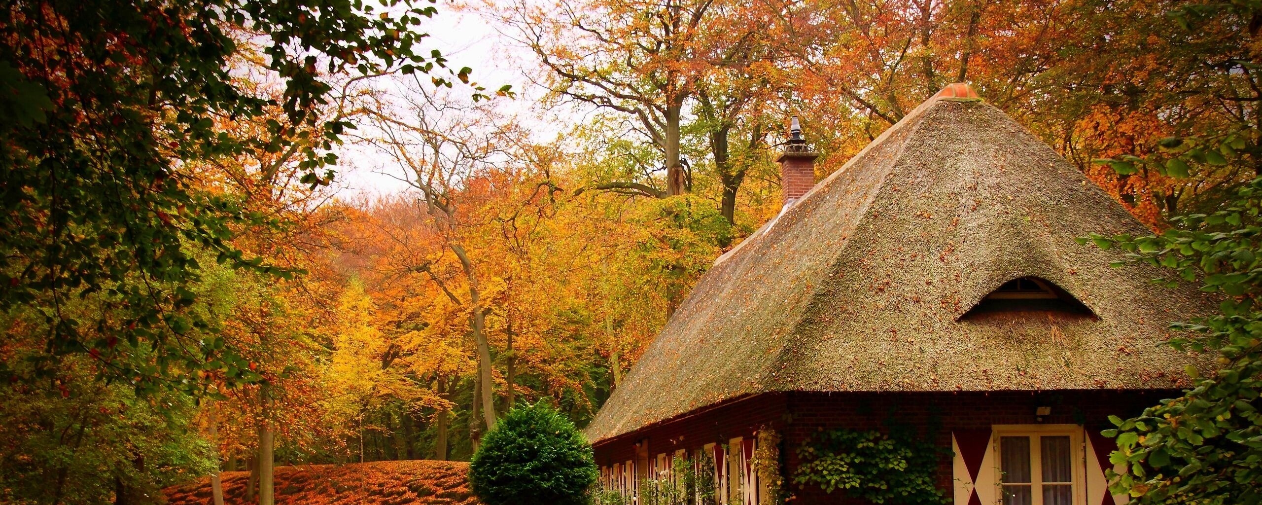 Домик в осеннем лесу обои