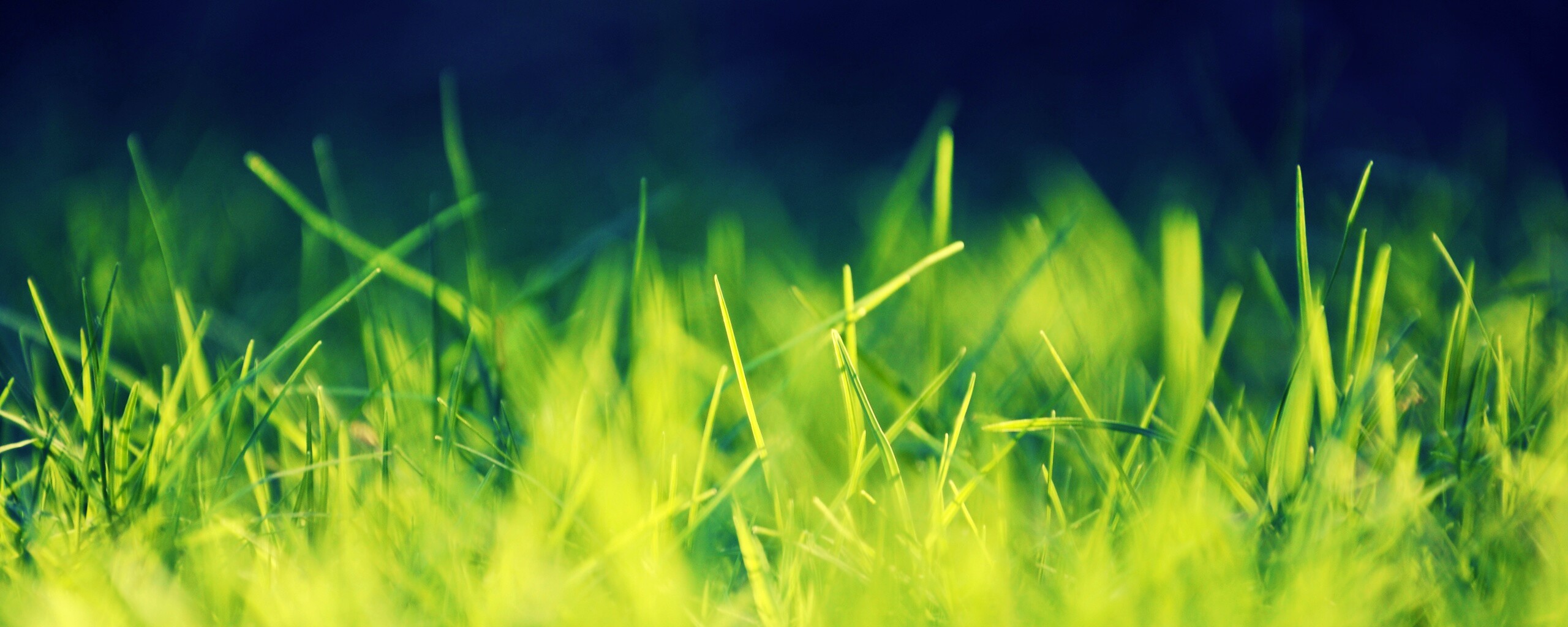 Играя солнечным светом обои