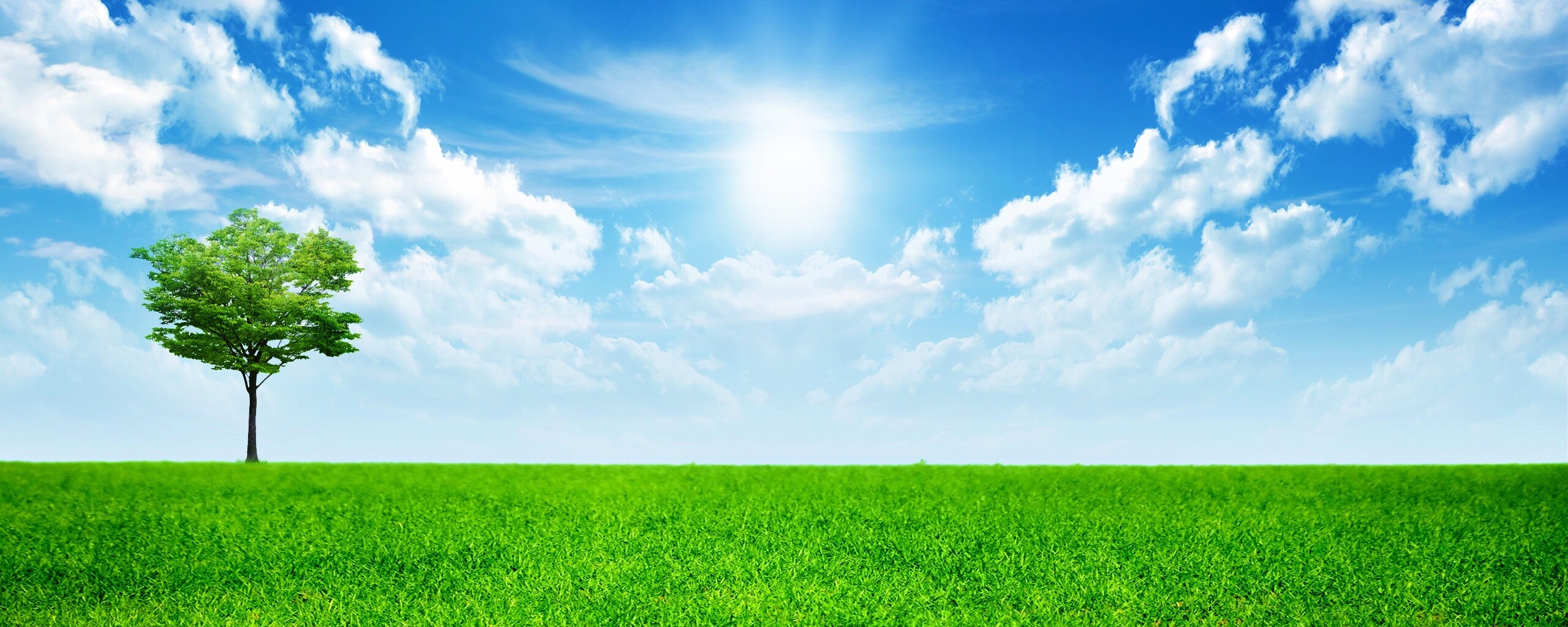 Один в целом мире обои