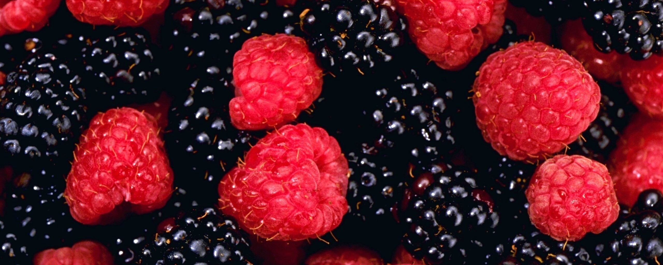 Малина и ежевика обои