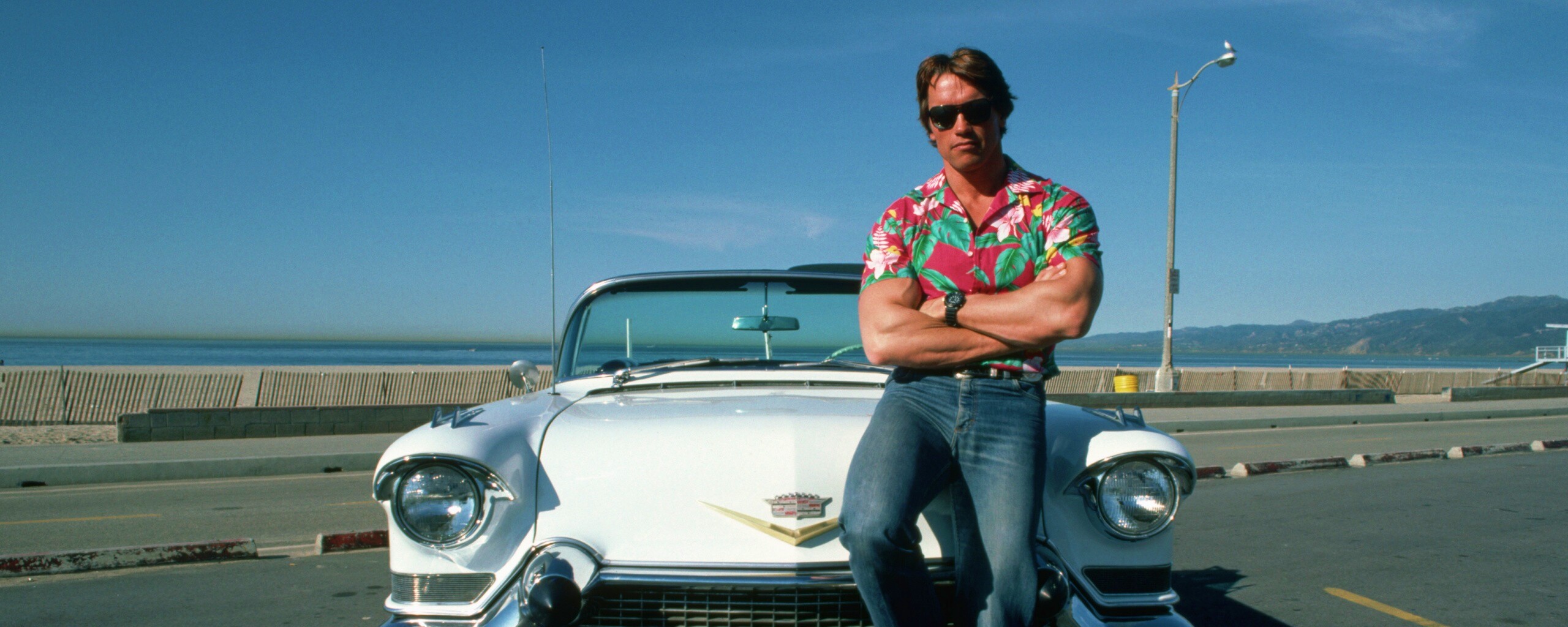 Арнольд Шварценеггер обои