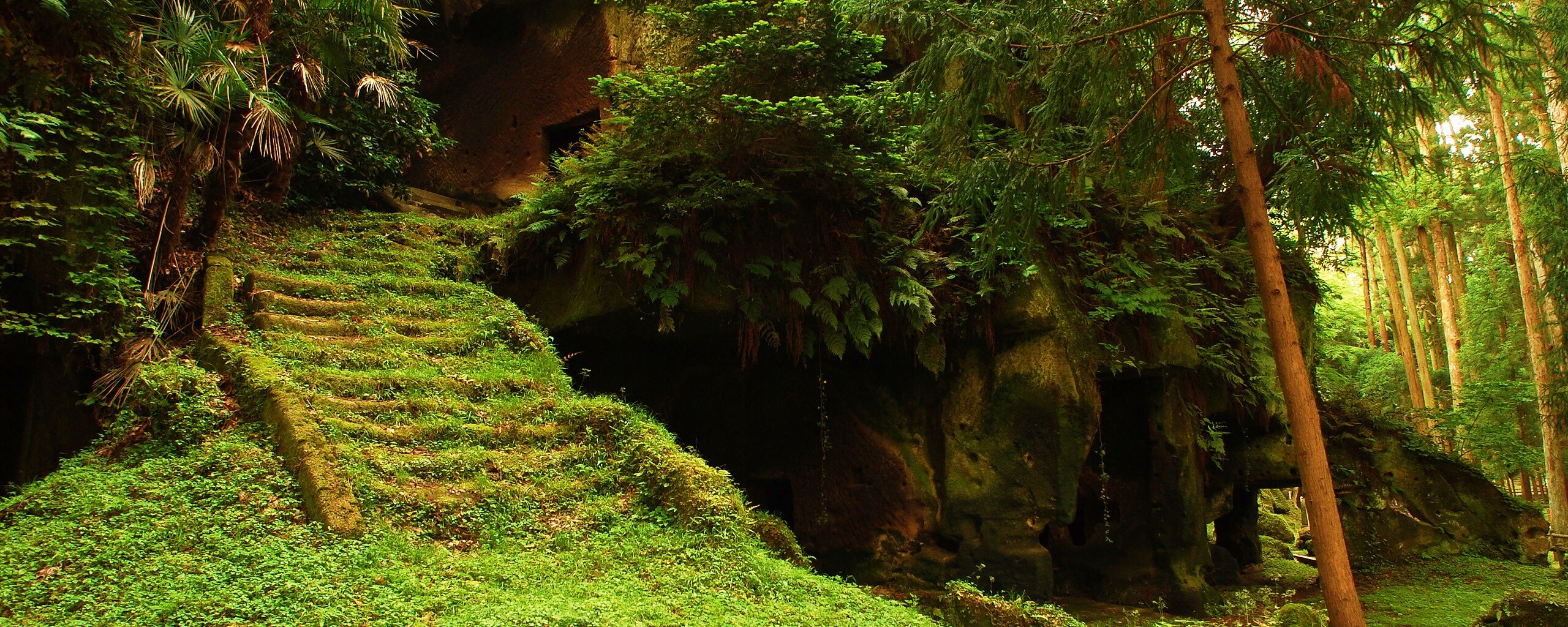 Старинный лесной храм обои