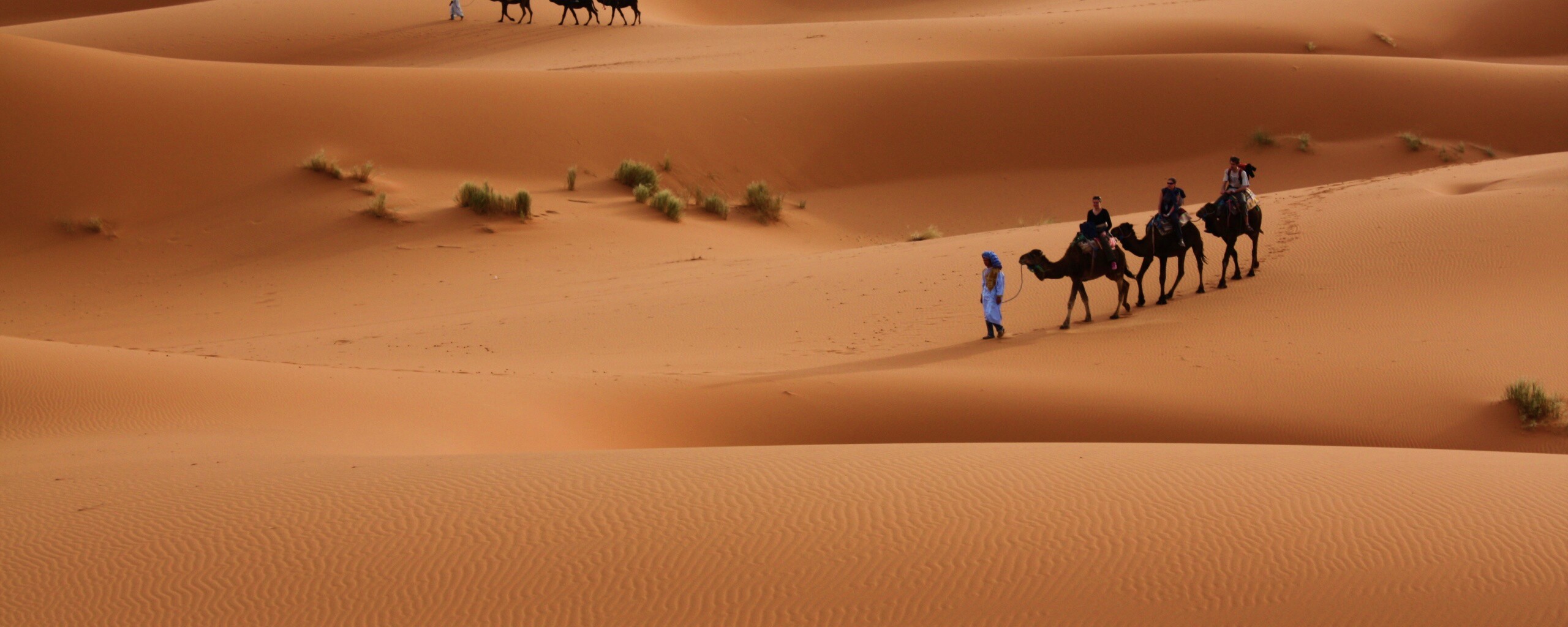 Караваны пустыни обои