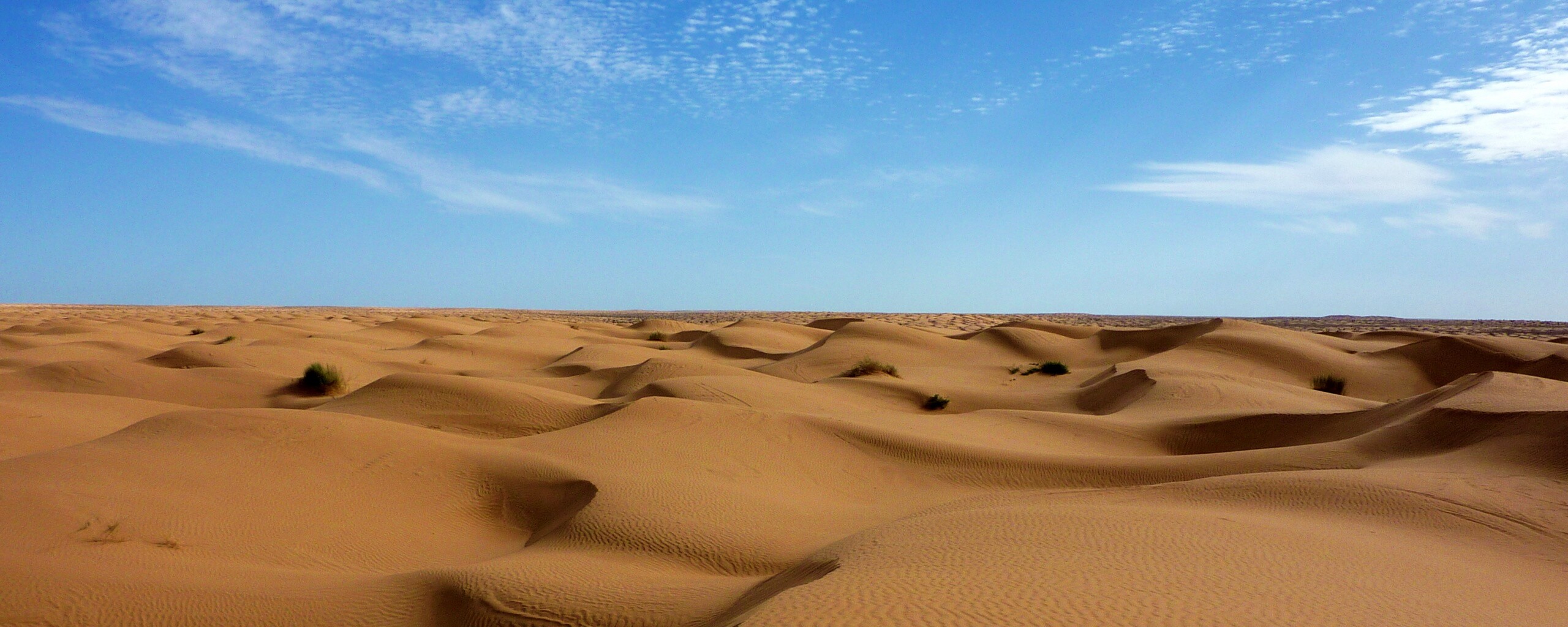 Пустыня до самого горизонта обои