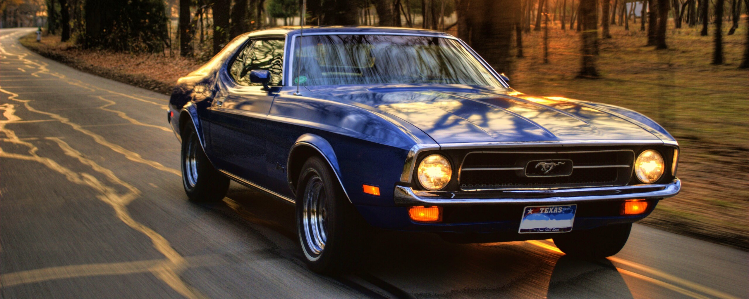 Мустанг обои