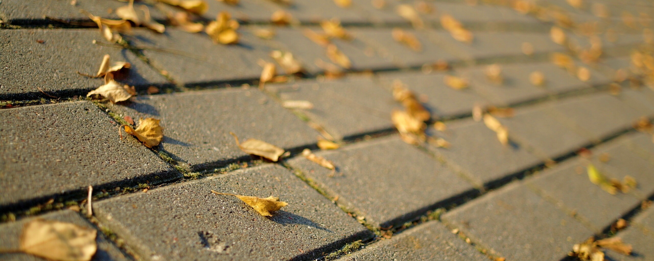 Тротуар обои