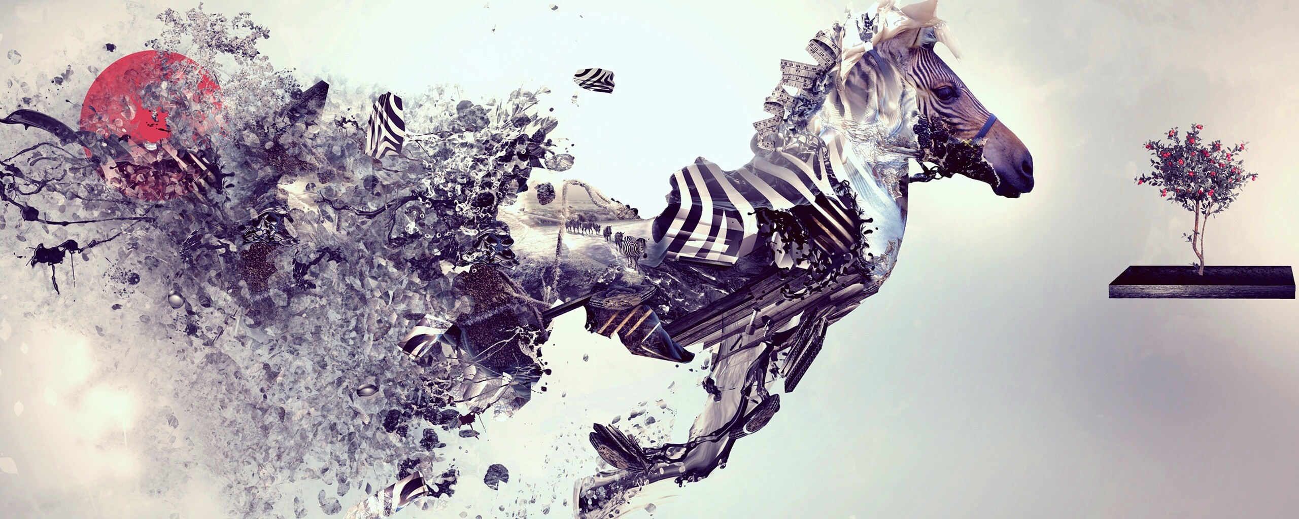 Зебра и бонсай обои