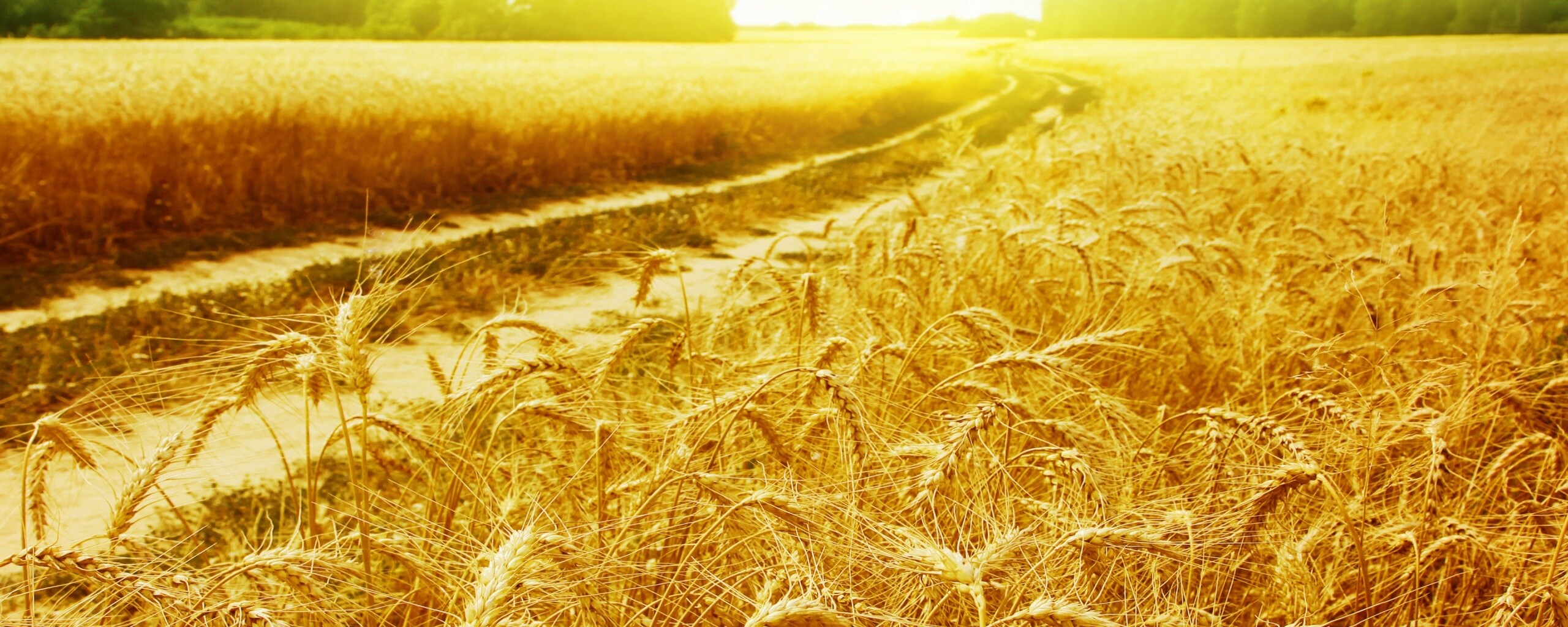 Речка среди поля обои