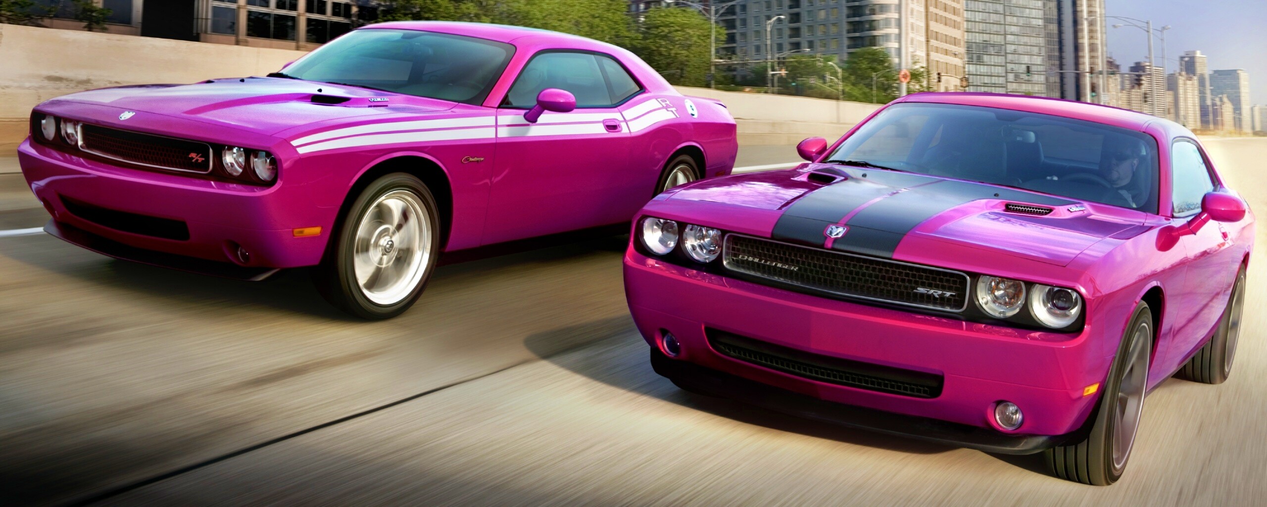 Два розовых мускулкара обои