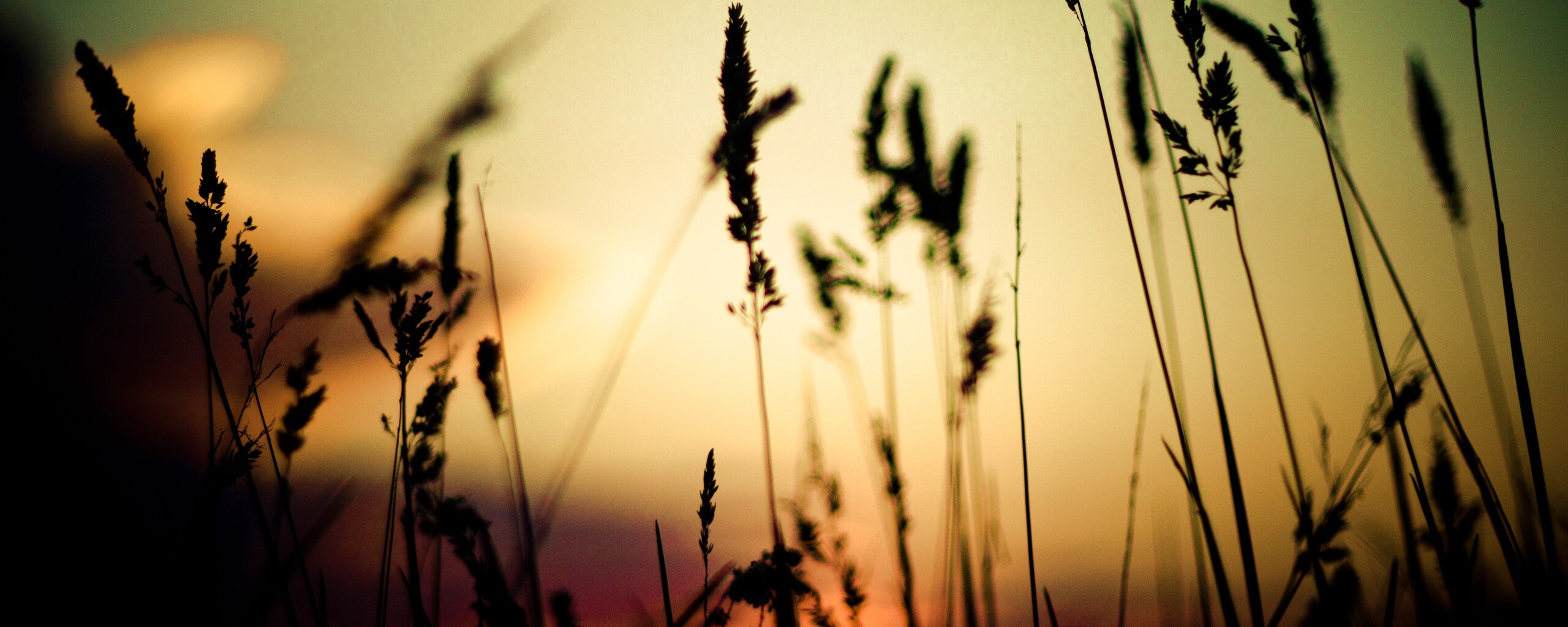 Дыхание природы обои