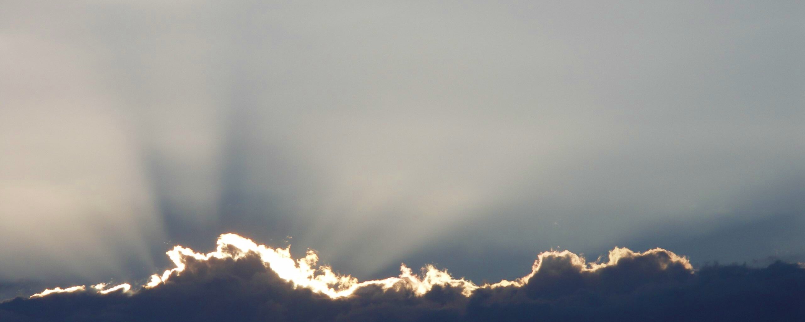 Проблески света обои