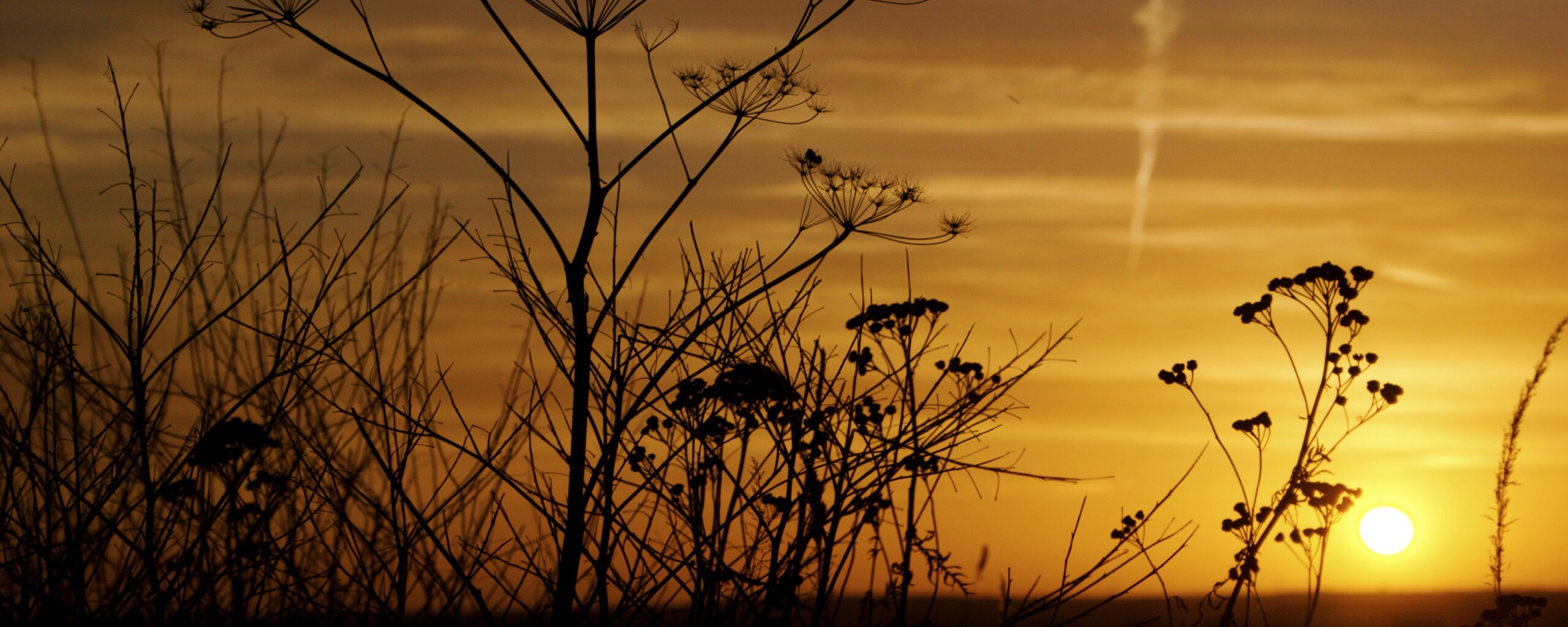 Степной закат обои