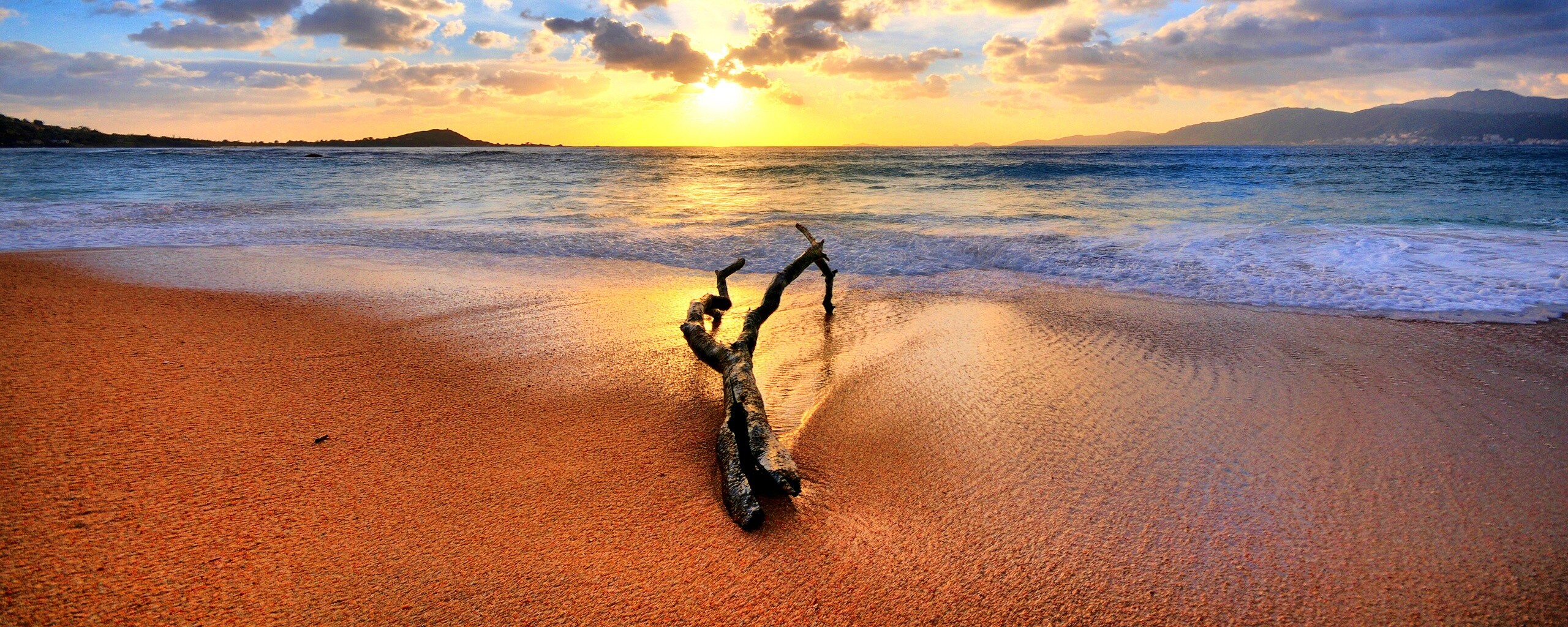 Коряга на пляже обои