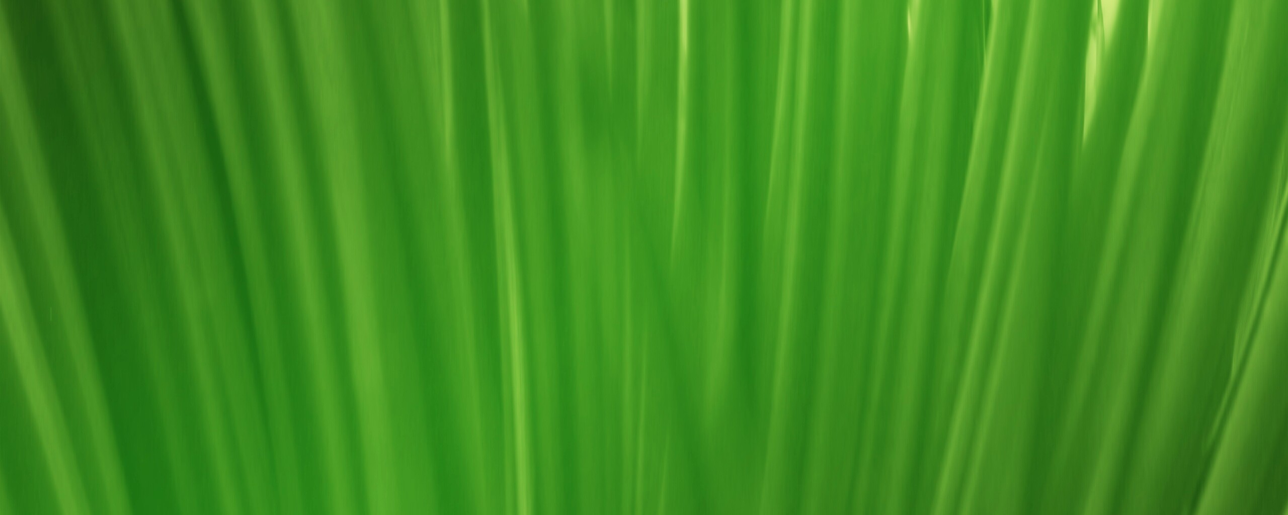 Абстрактная трава обои