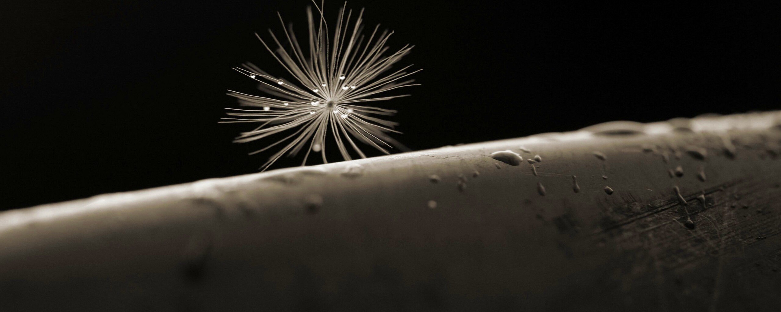 Прилипшая пушинка обои