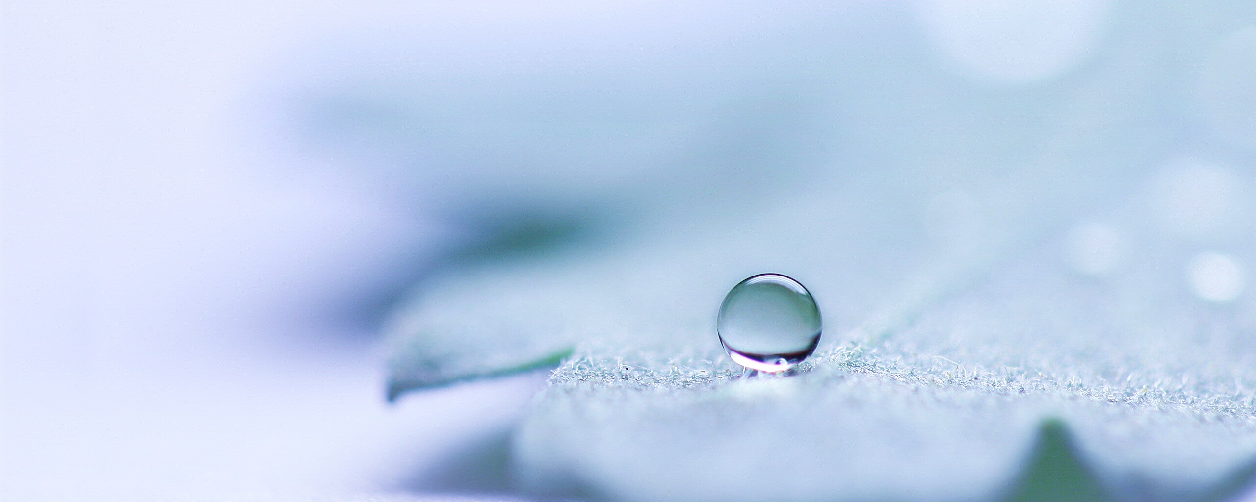 Капля на замёрзжем листе обои