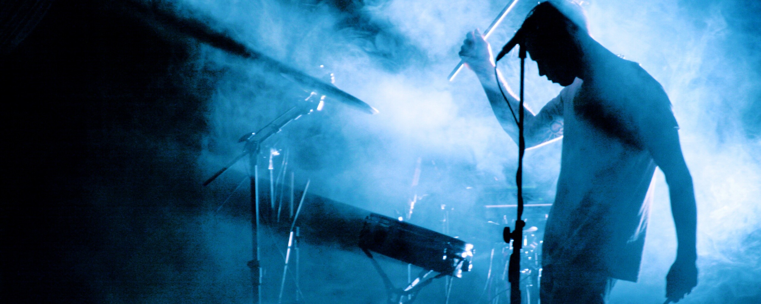 Концер Дельфина обои