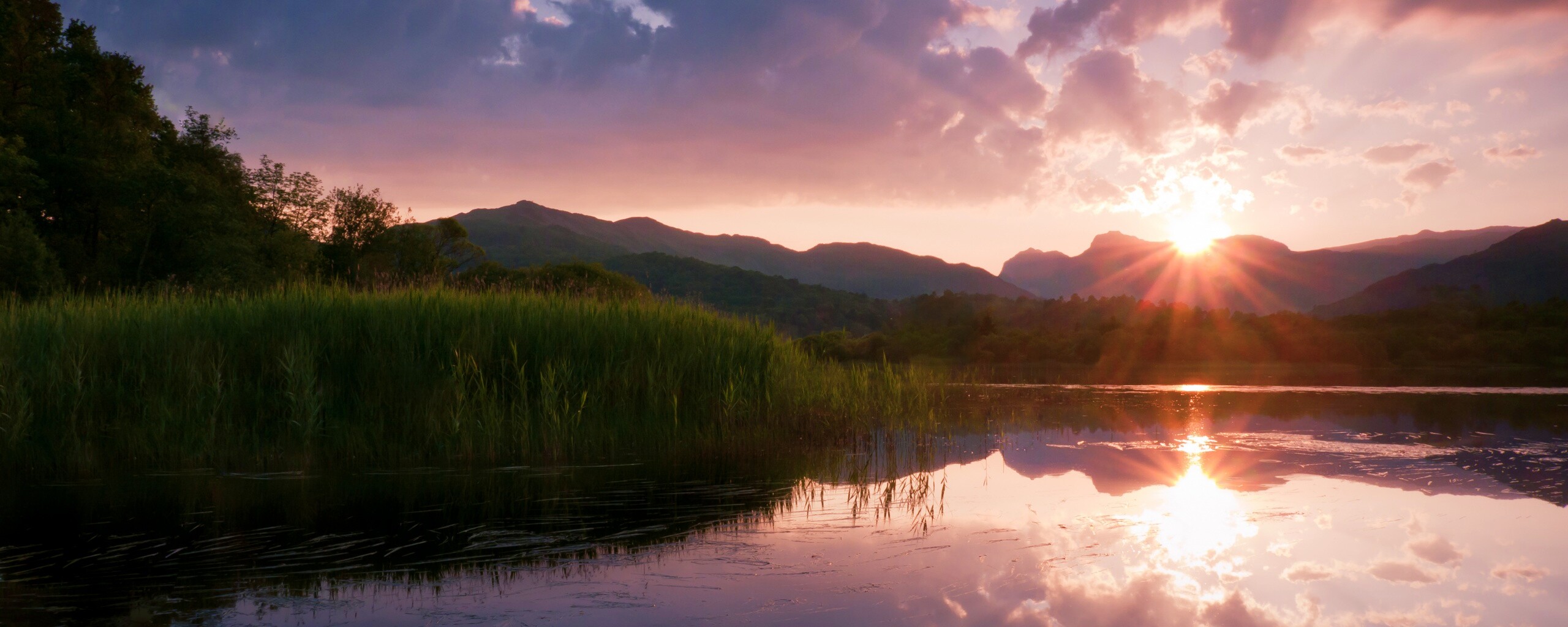 Закат за лесом обои