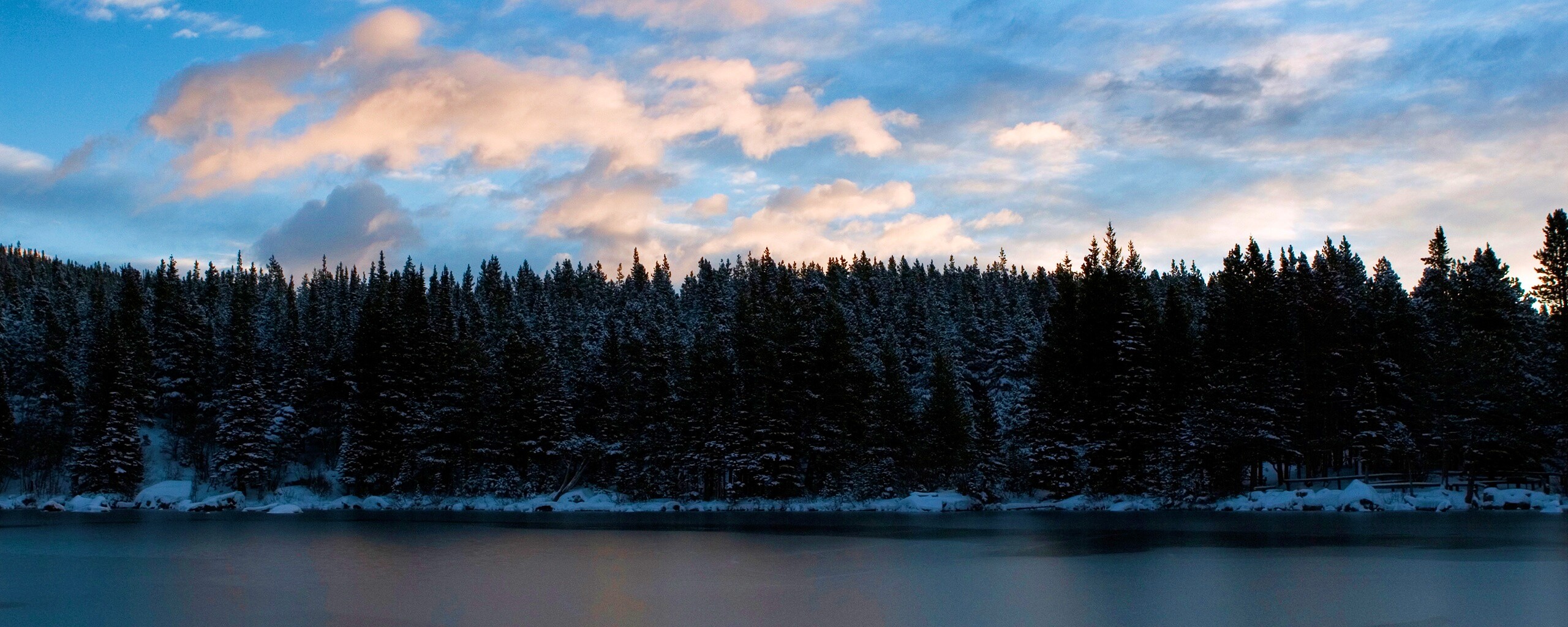 Лес на озере обои