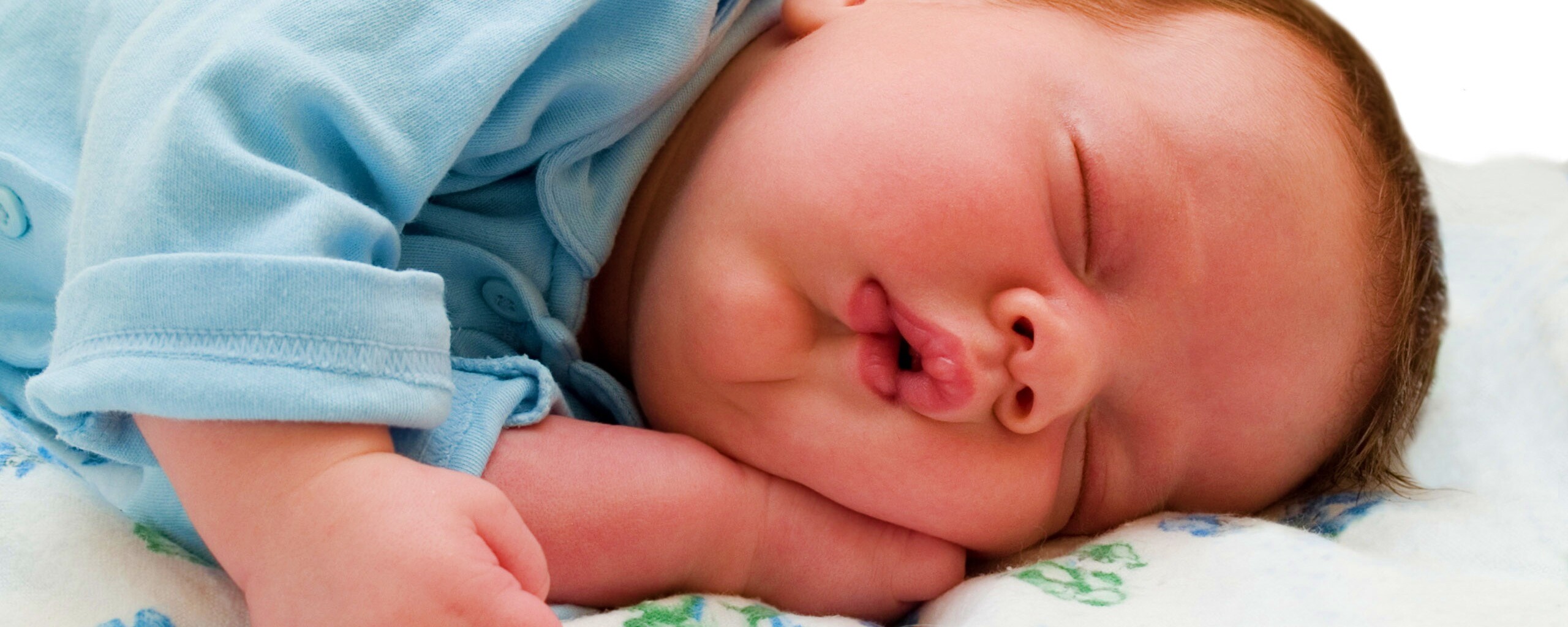 Спящая прелесть обои