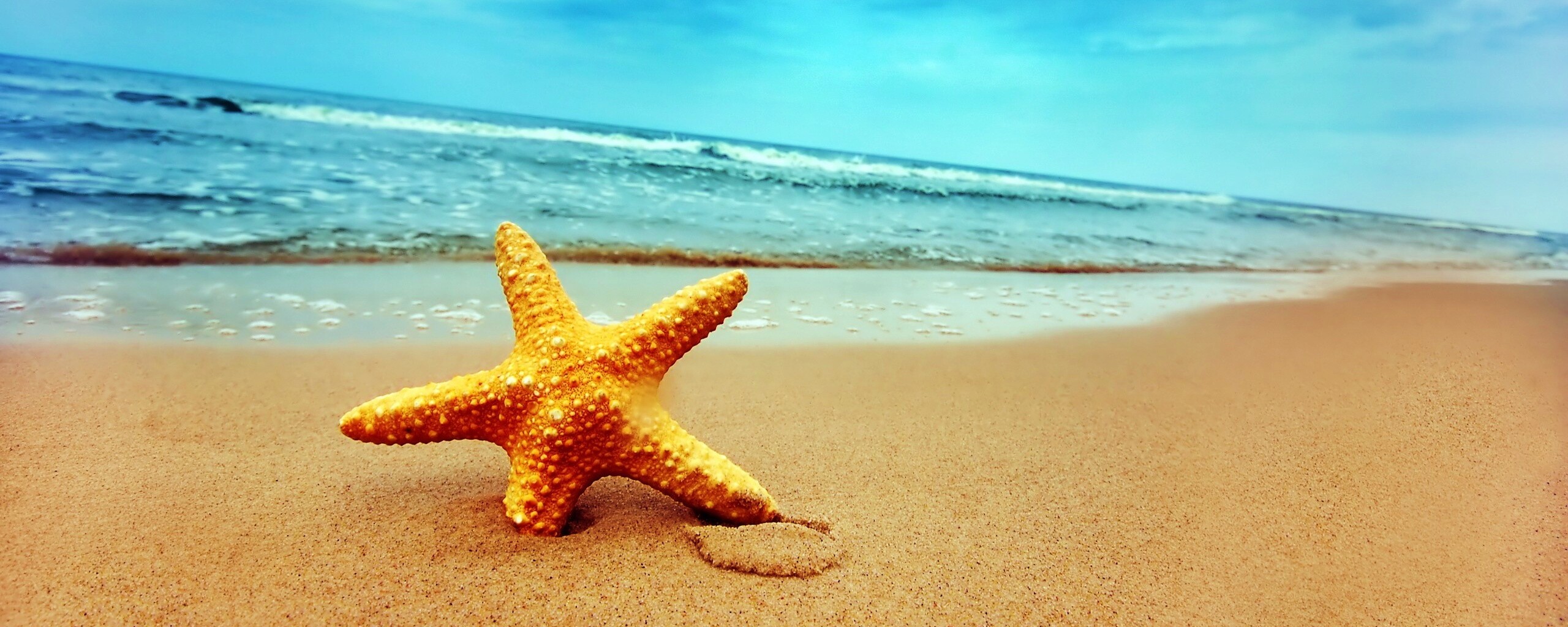 Морская звезда в песке обои