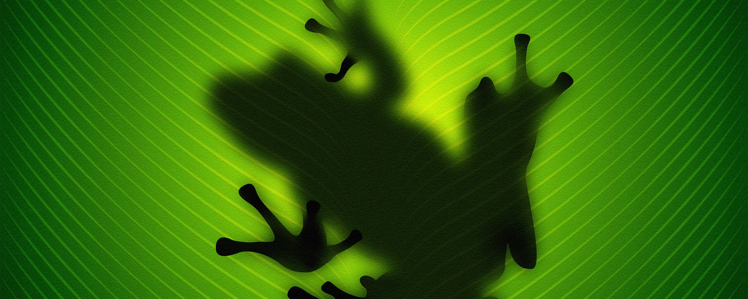 Силуэт лягушки просвечивает сквозь зеленый лист обои