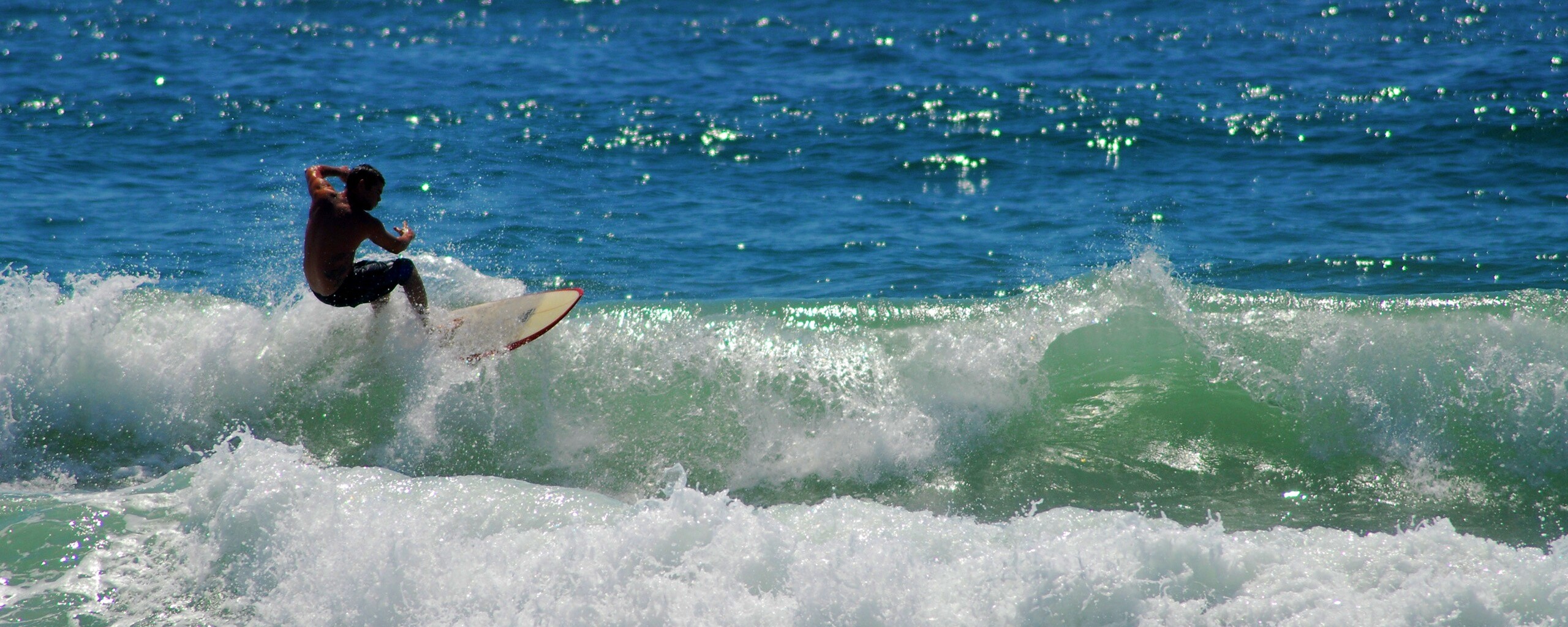 Сёрфенгист поймал волну обои