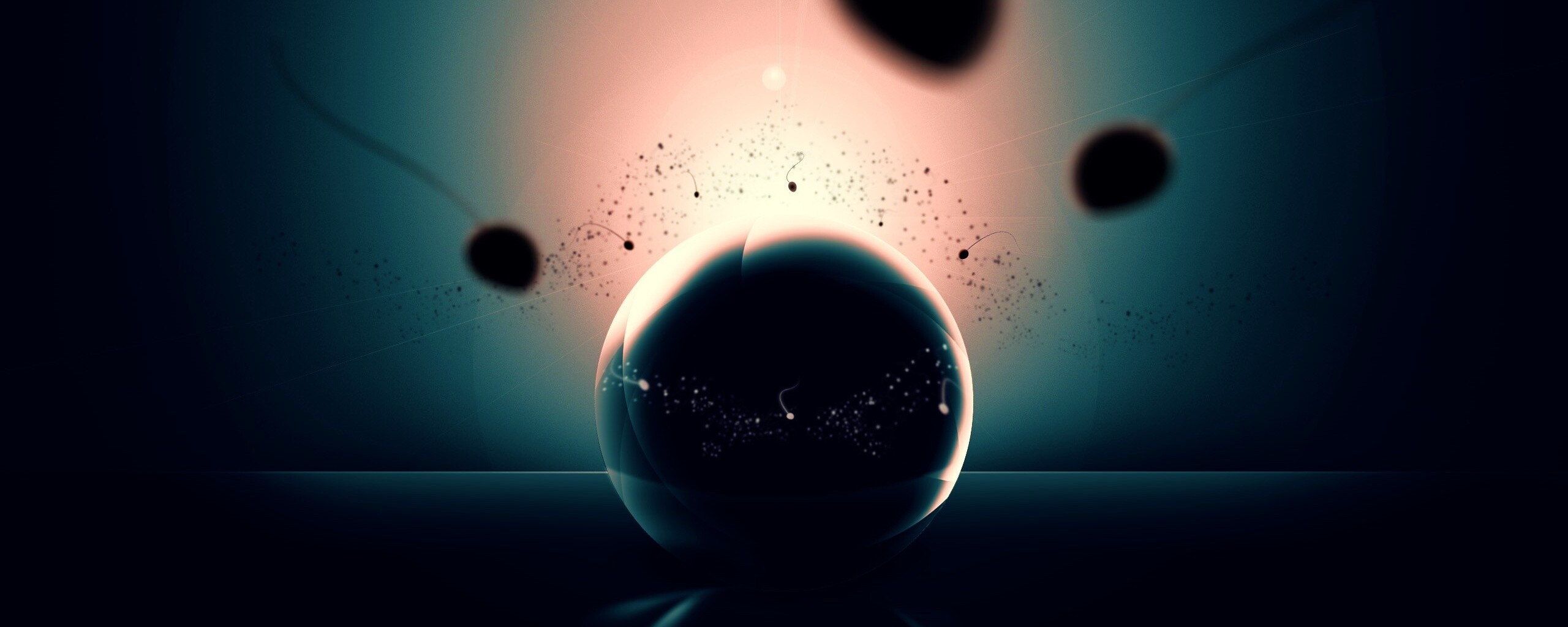 Оплодотворение обои