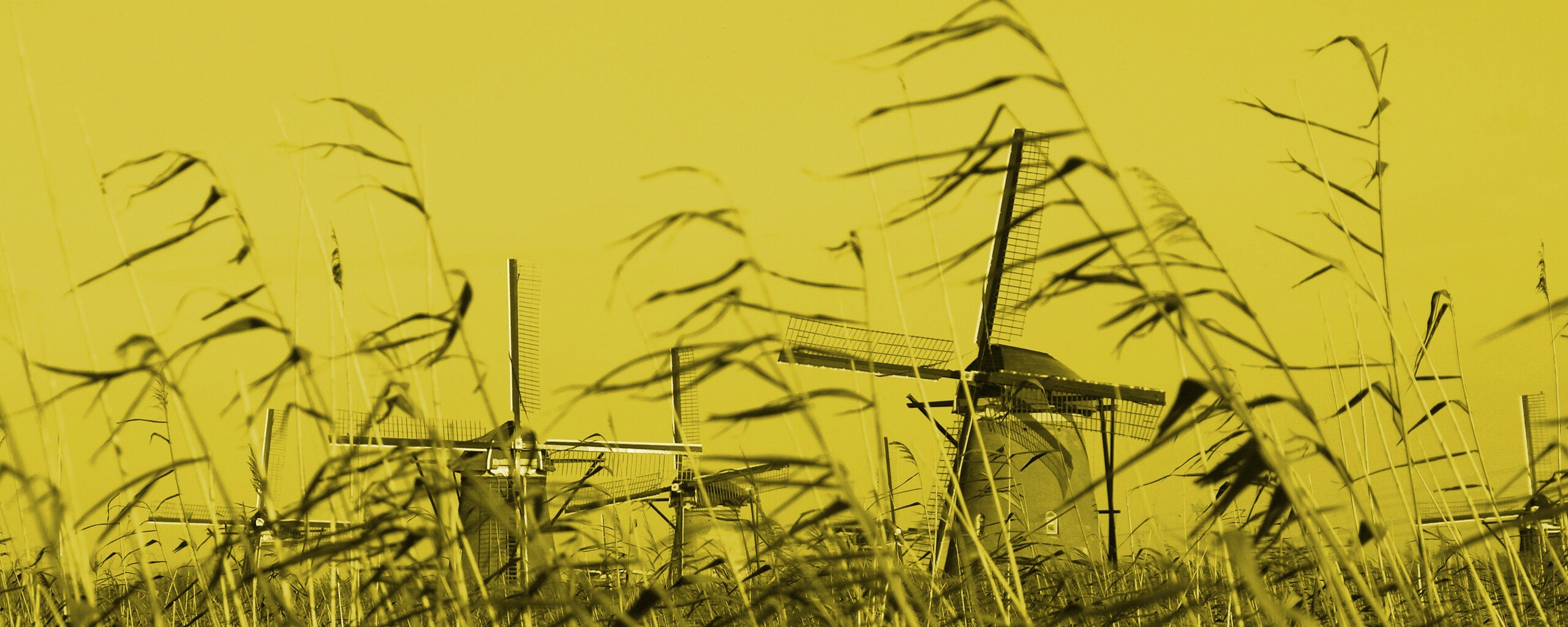 Мельницы обои