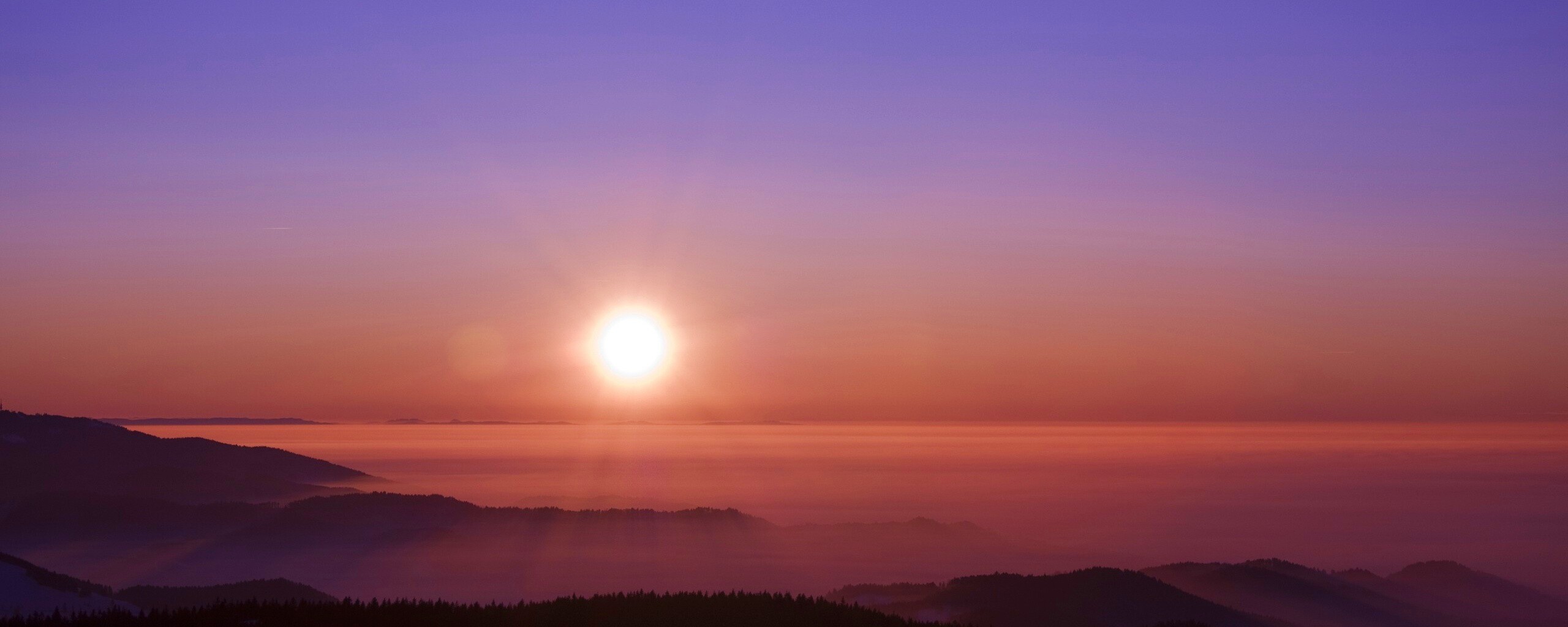 Восход солнца над лесом обои