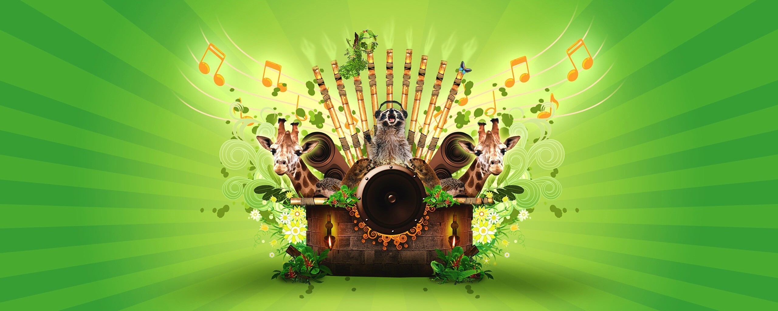 Музыка джунглей обои
