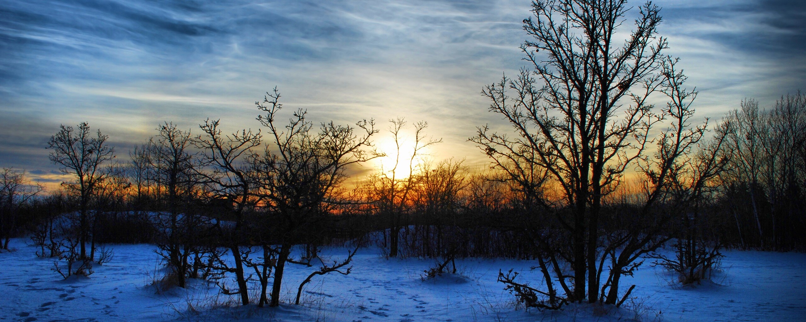 Закат в зимнем лесу обои