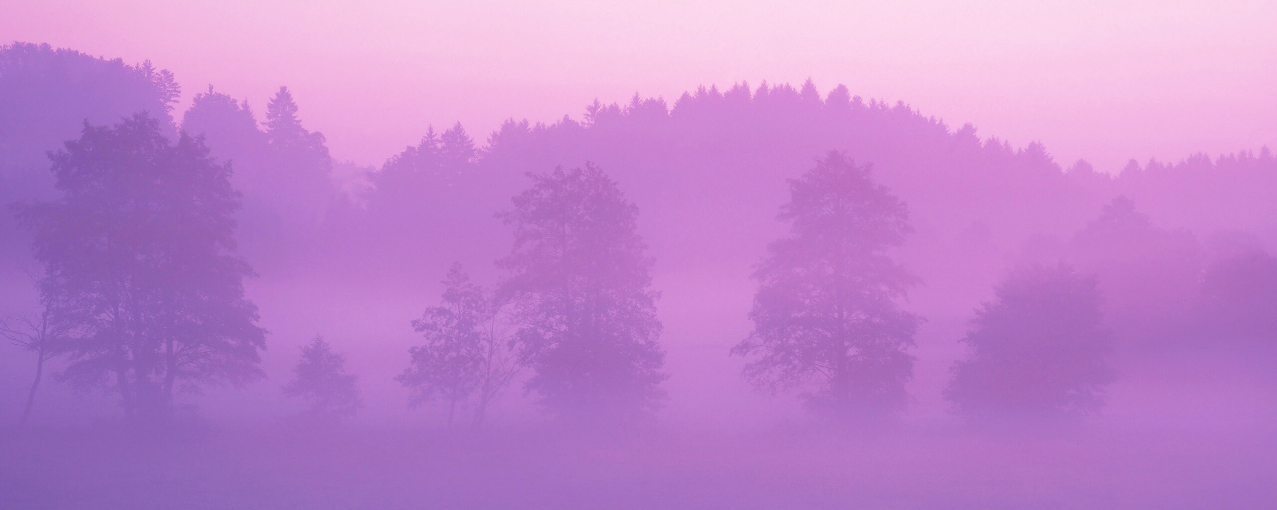Розовый лес обои