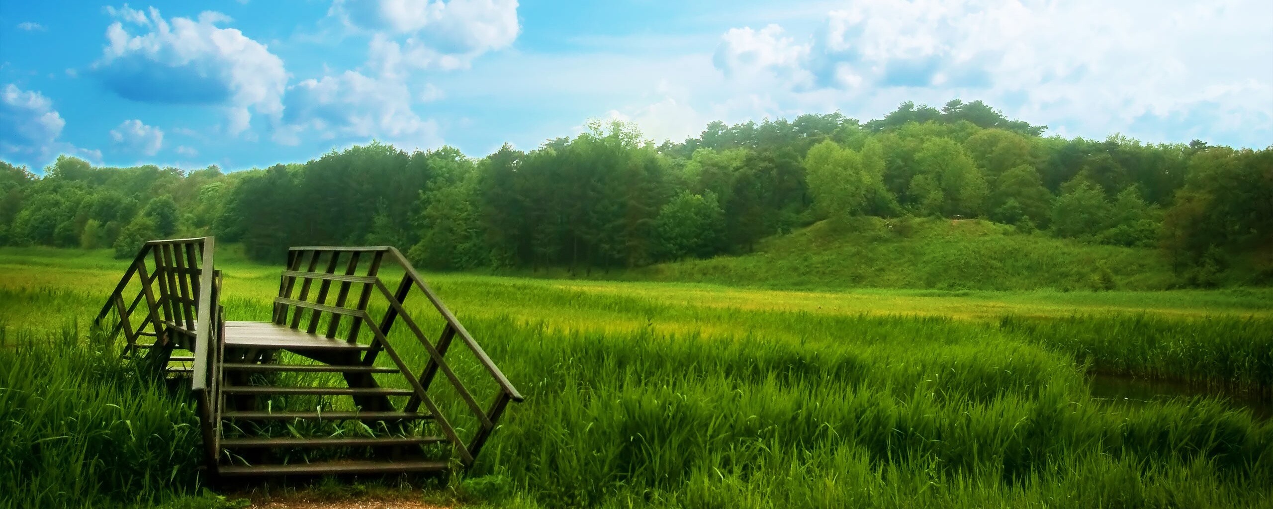 Мостик обои