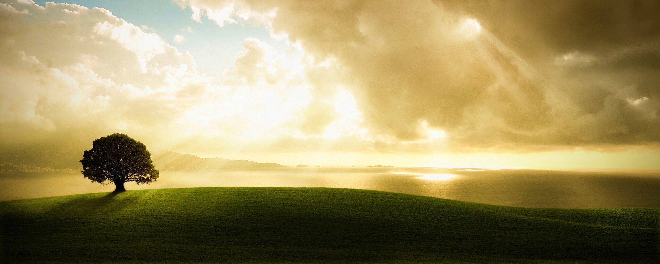 Холм и дерево обои