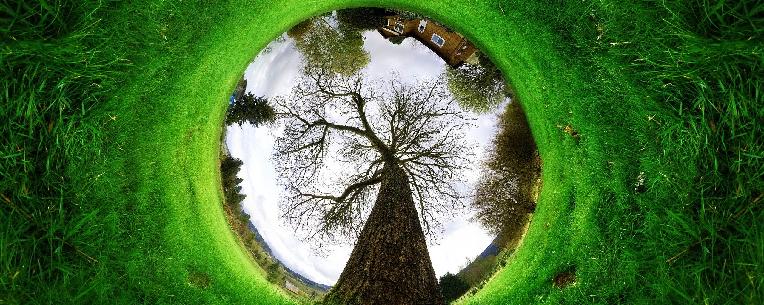 Другой взгляд на мир обои