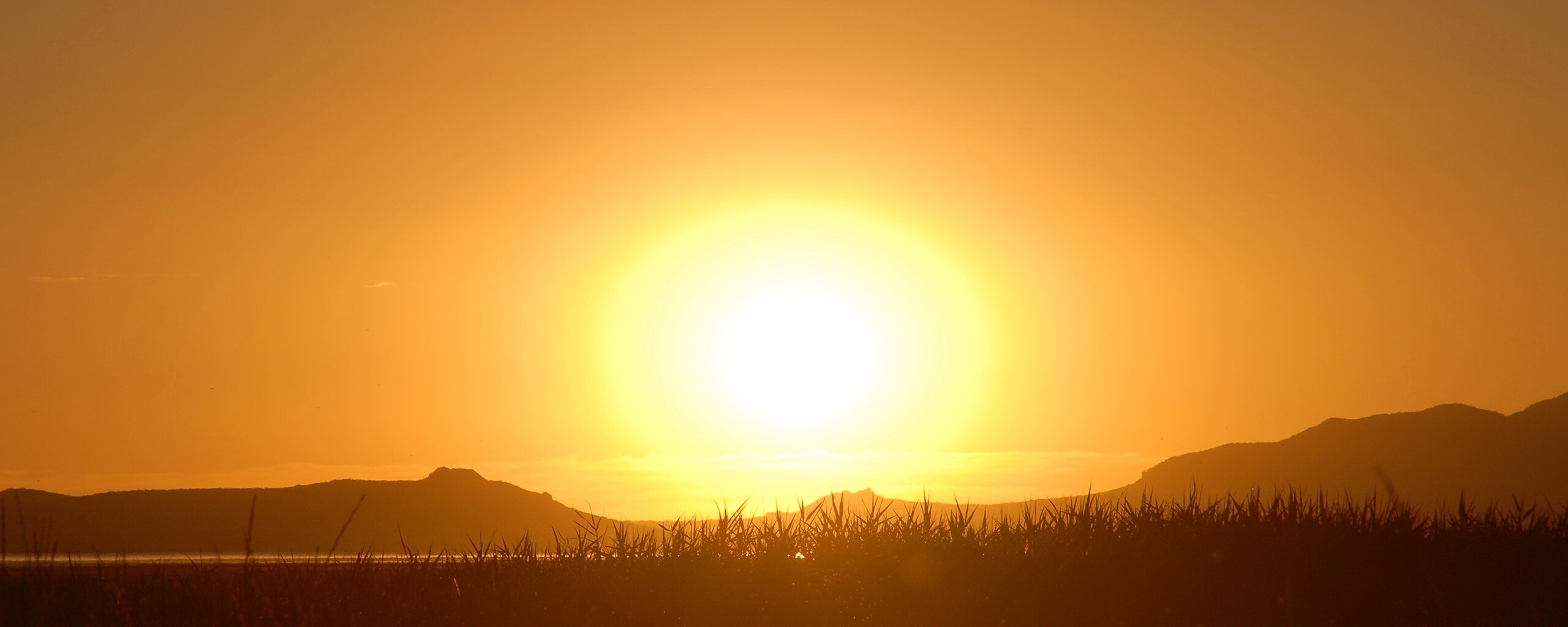 Сельский закат обои