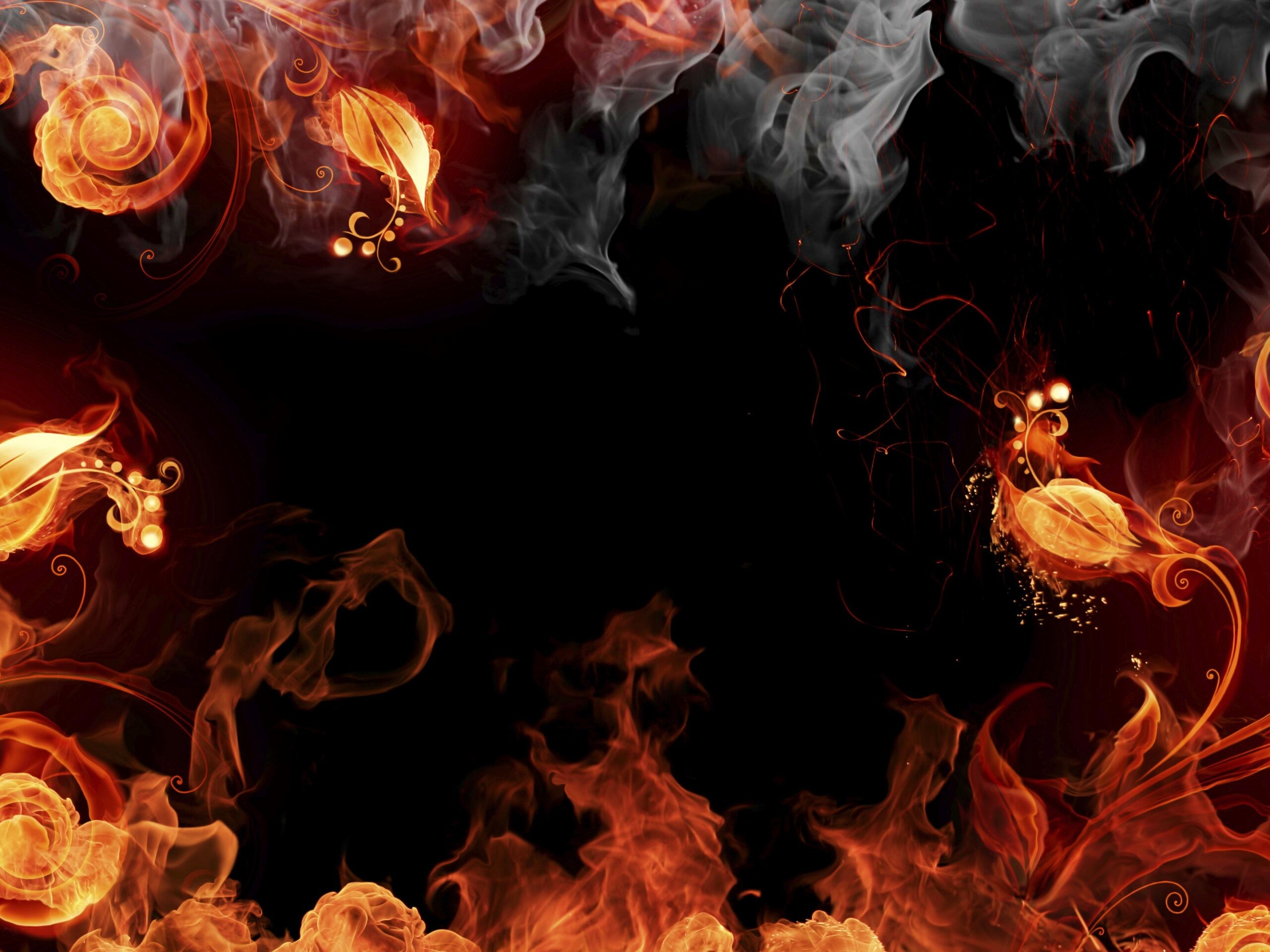 Огненные цветы обои