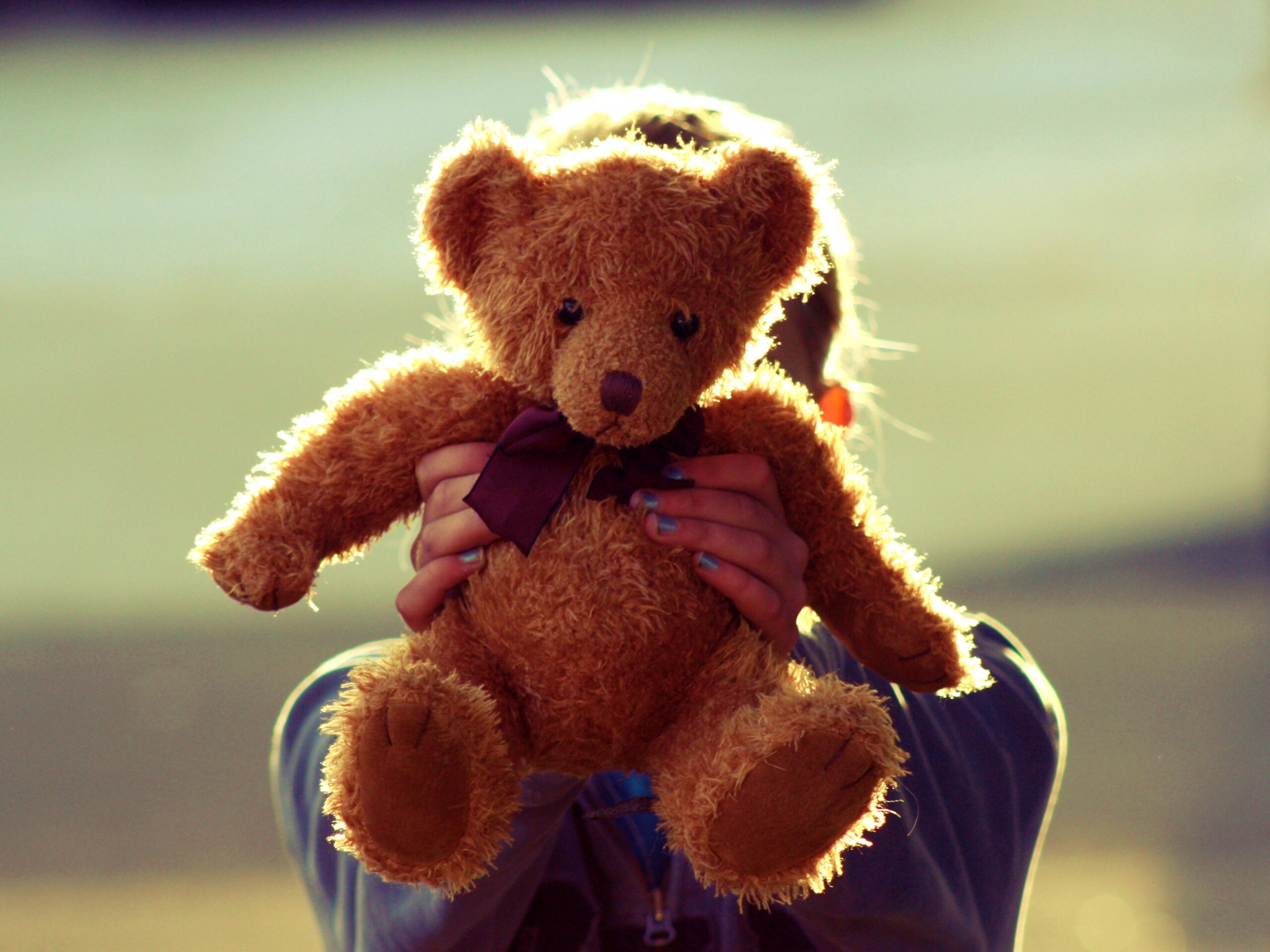 Плюшевый мишка обои