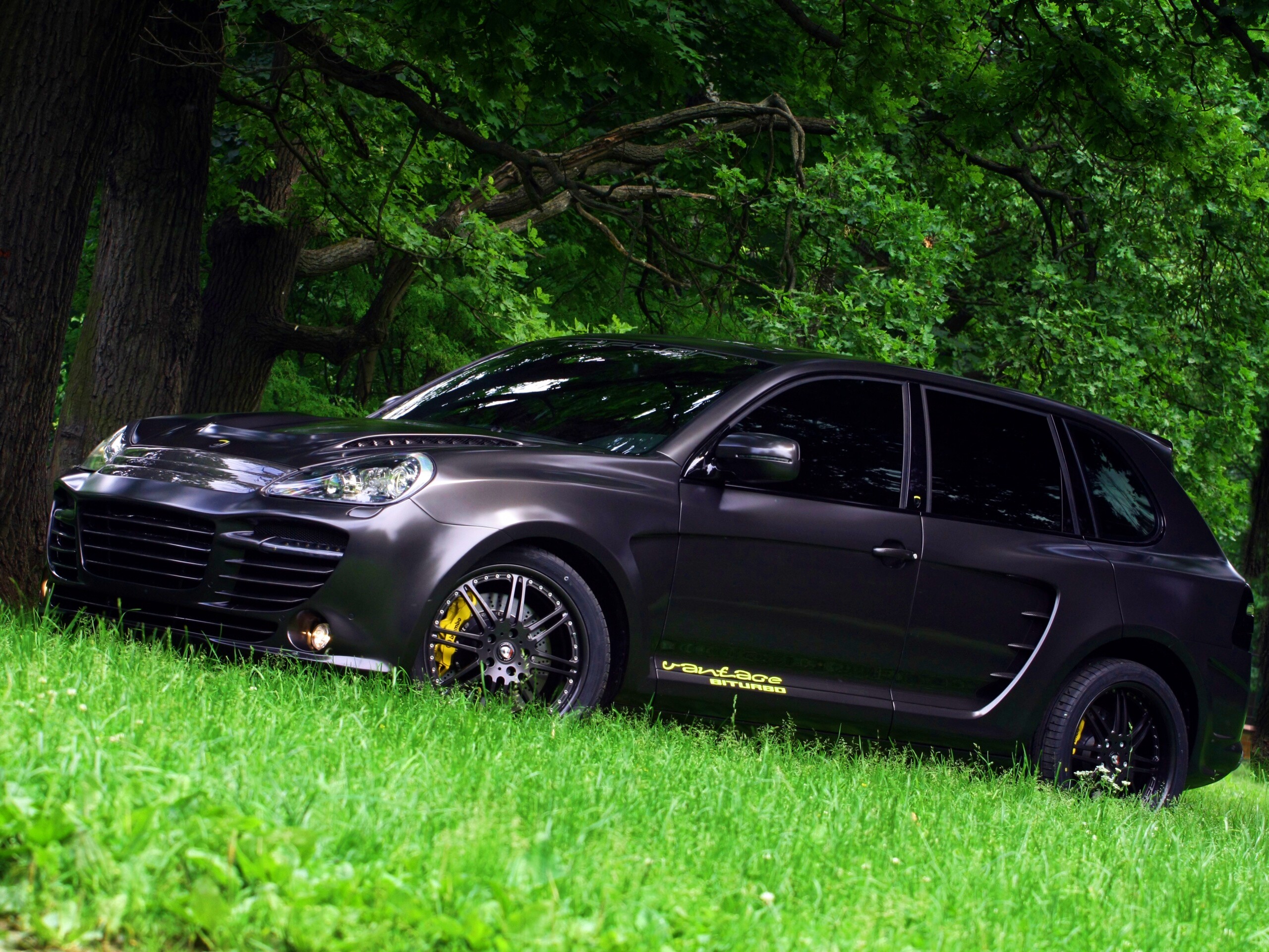 Концепт внедорожника в лесу обои