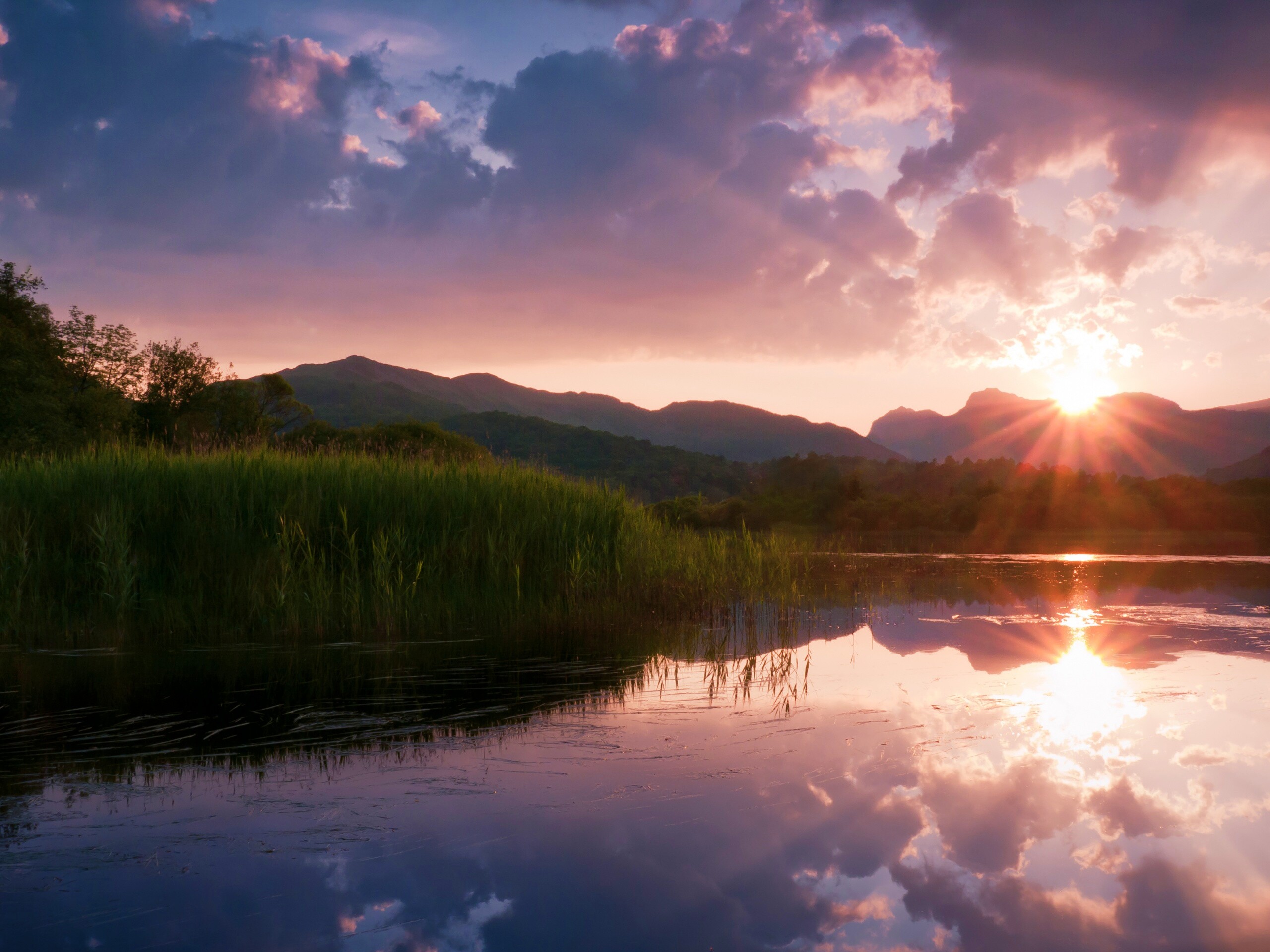 Закат за лесом обои
