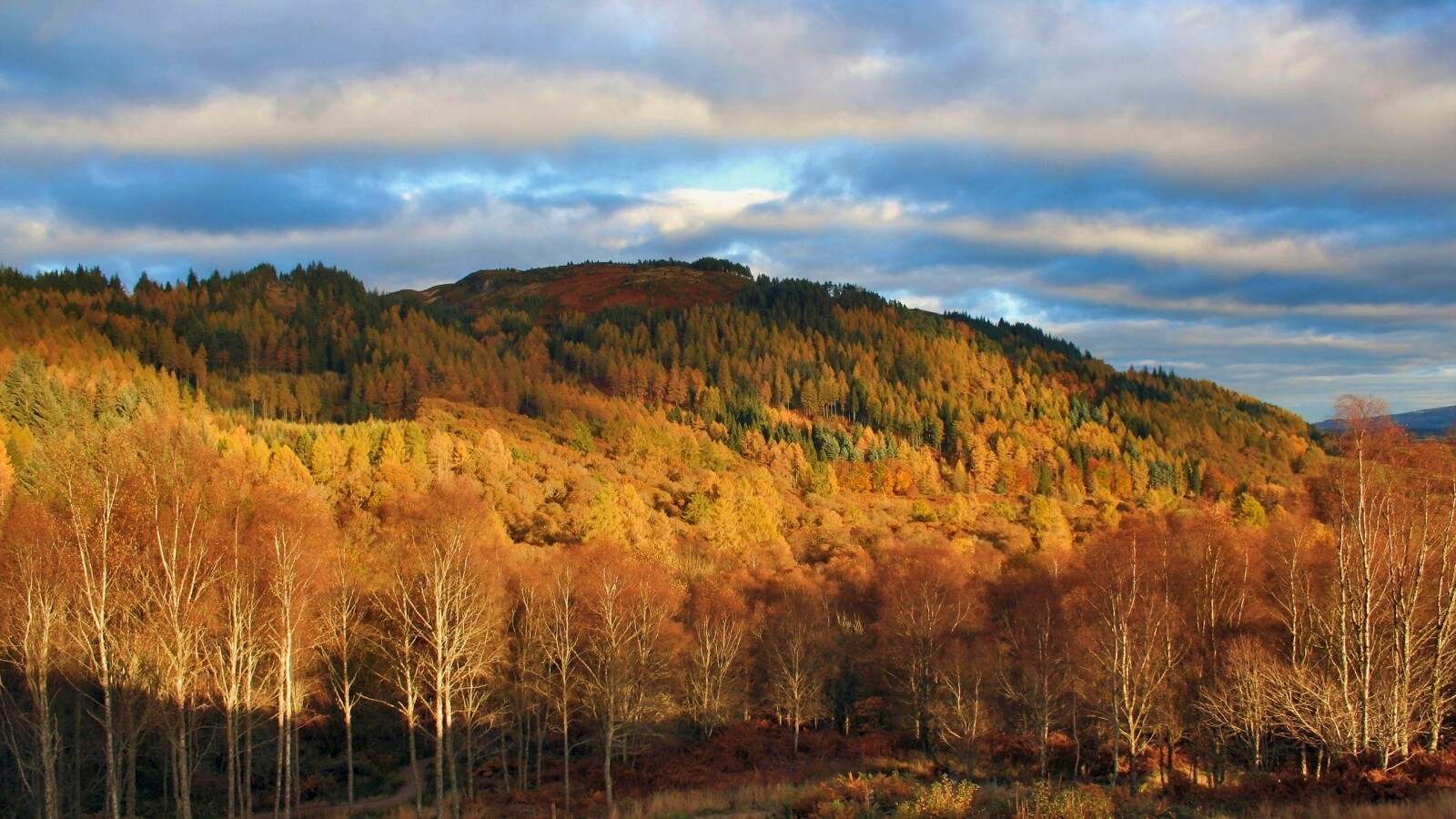 Золотая осень обои
