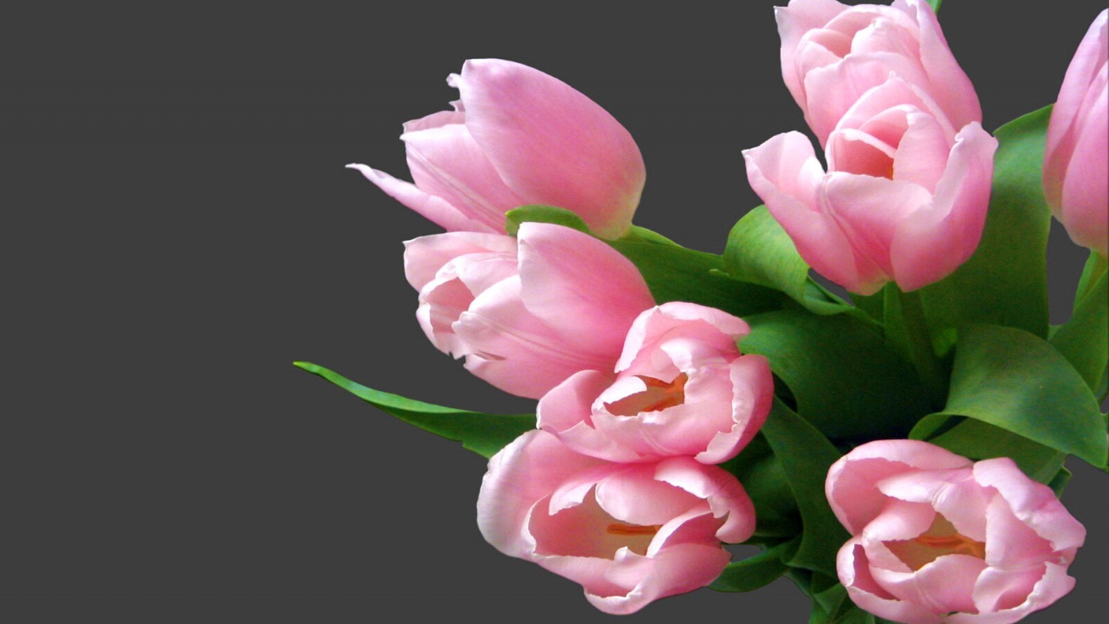 Розовый букет обои