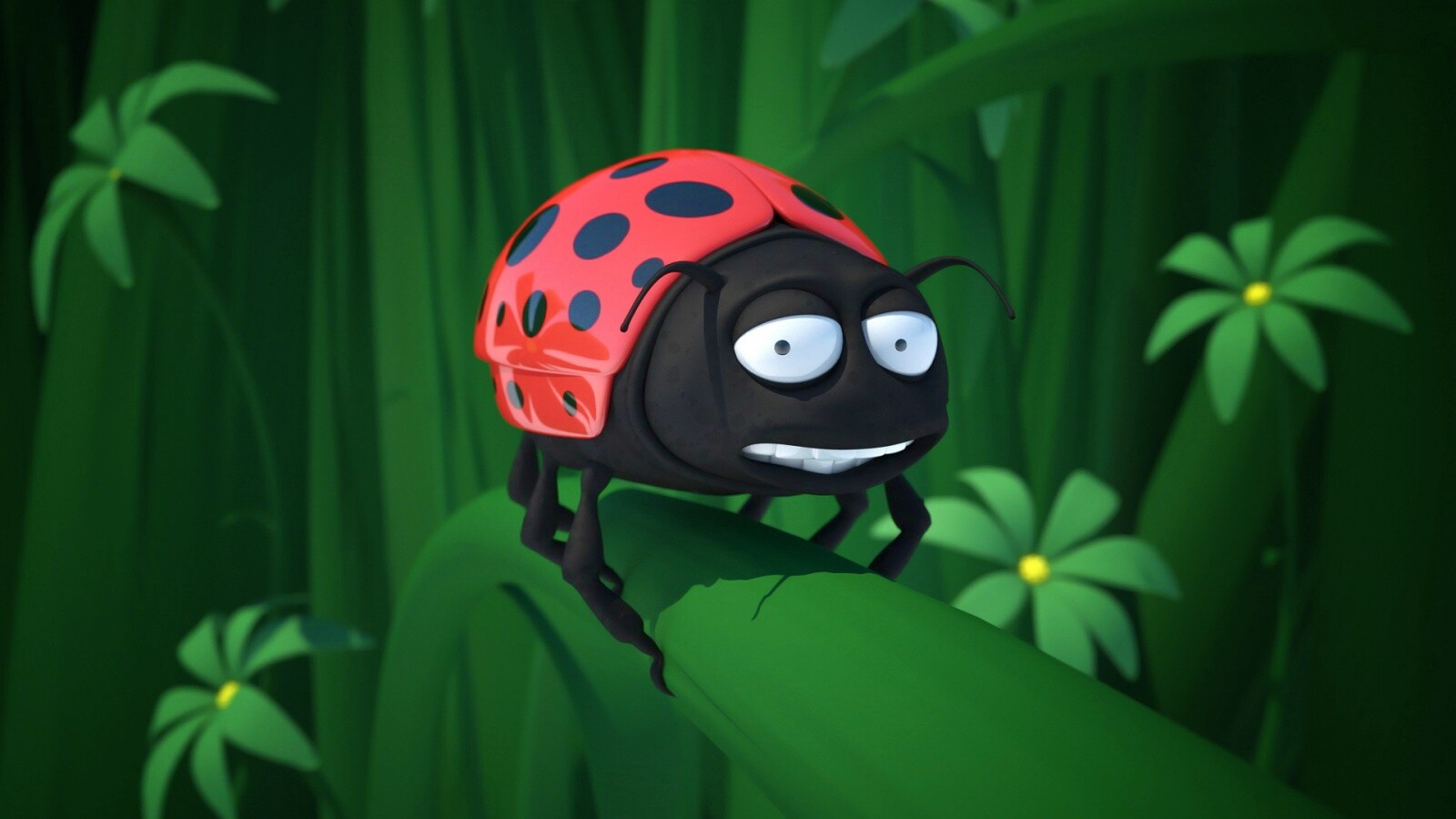 Глазастая божья коровка обои