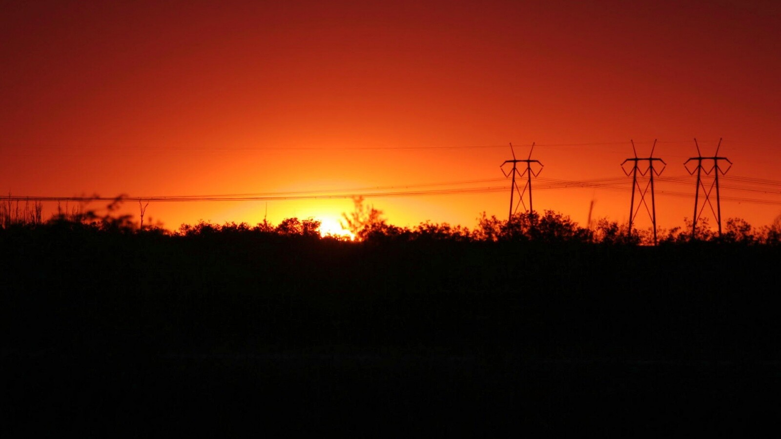 Закат за лесом обои