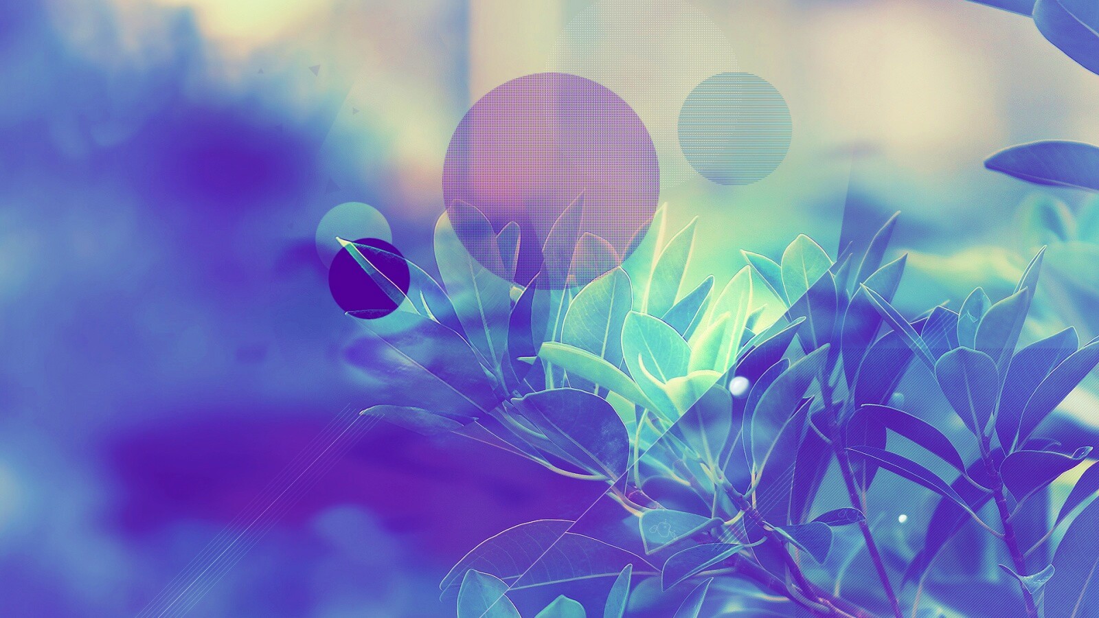 Синий фильтр с кргуами на фото листьев обои