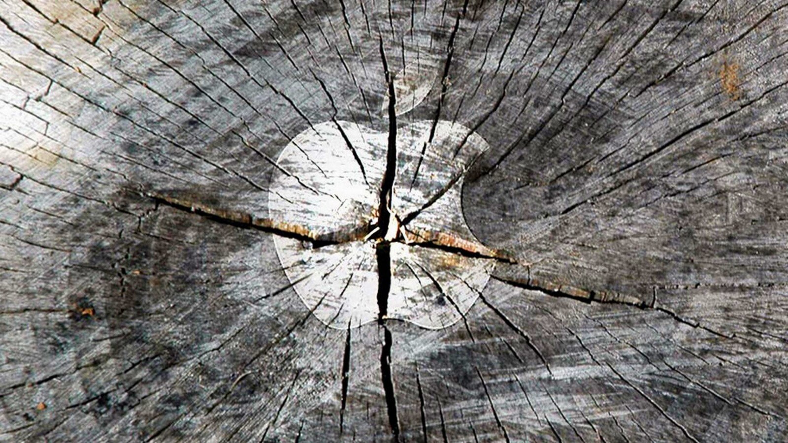 Логотип Apple на бревне обои